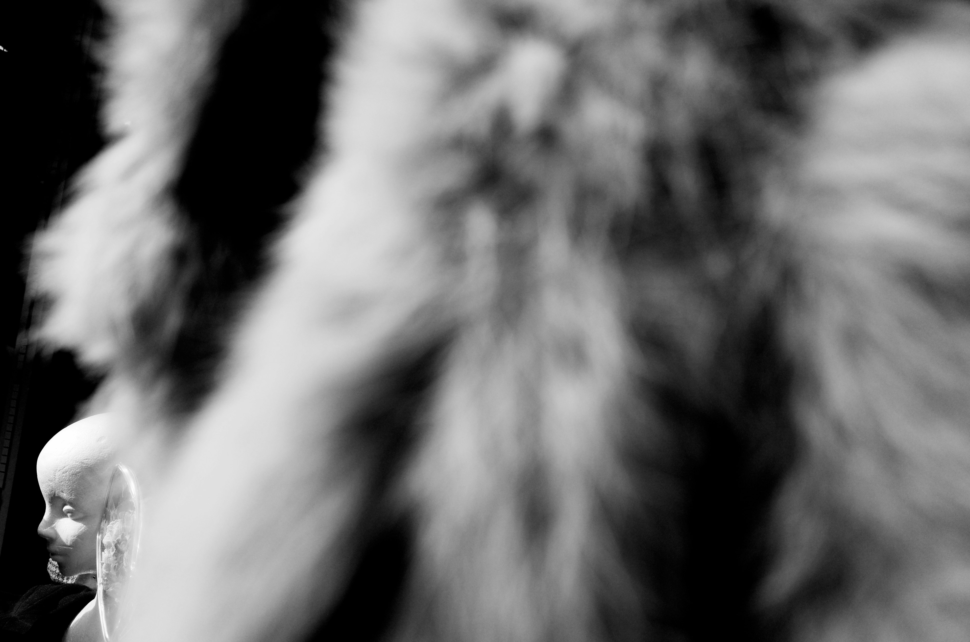 Black and white image featuring a mannequin's face in front of a blurred fur background