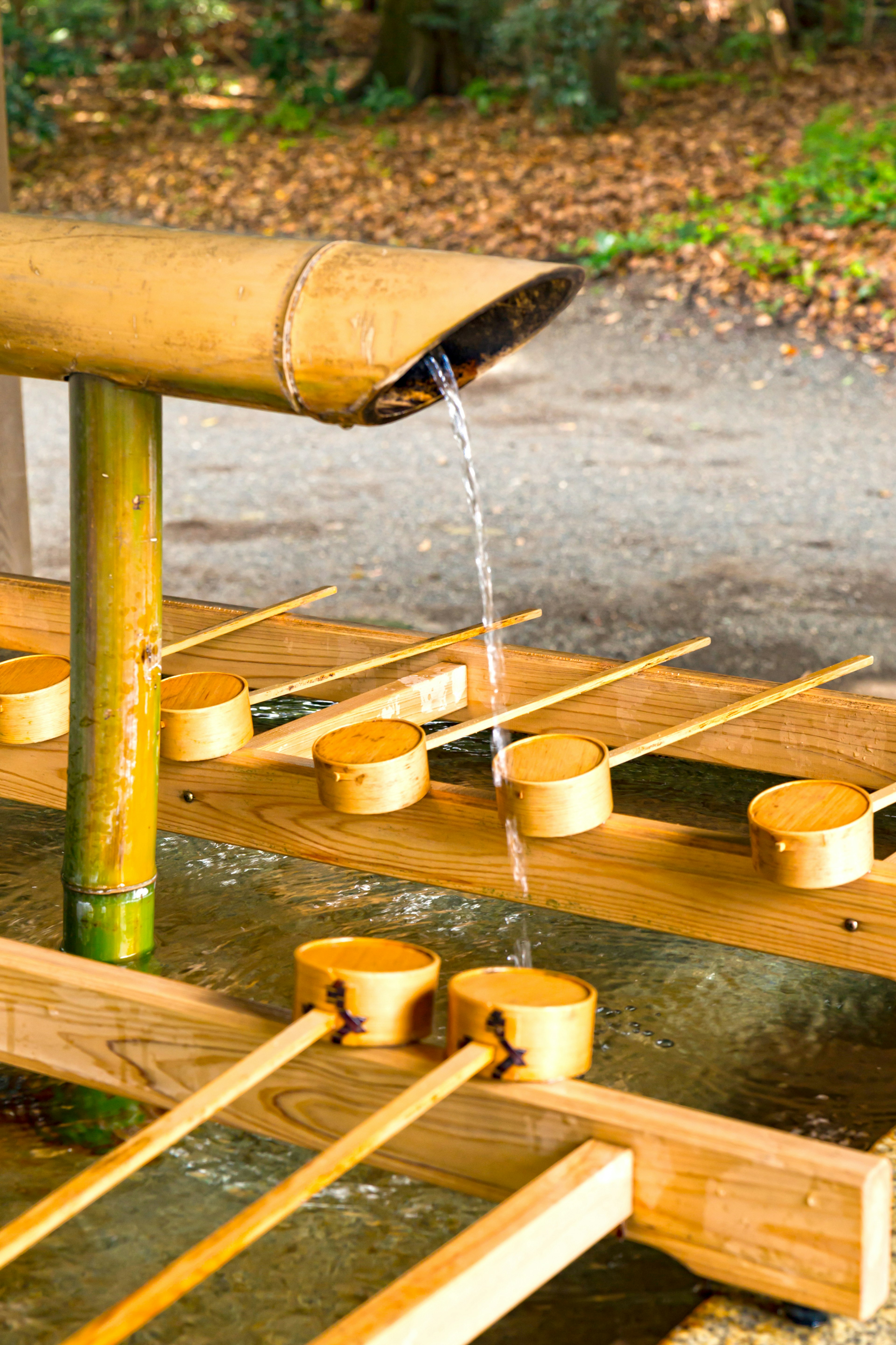 Bamboo water spout with wooden basins arranged underneath