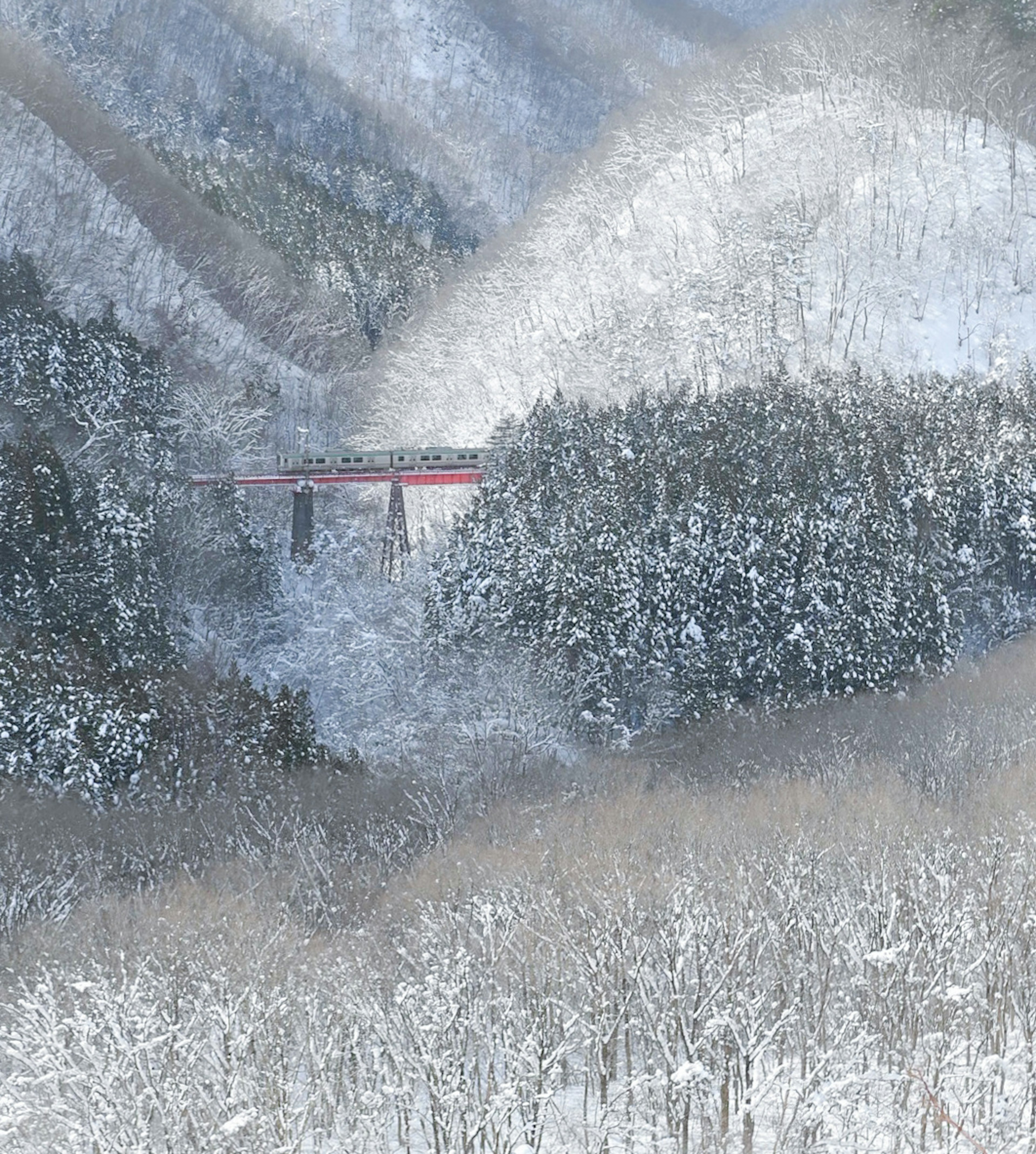 雪に覆われた山々の風景に赤い橋が見える