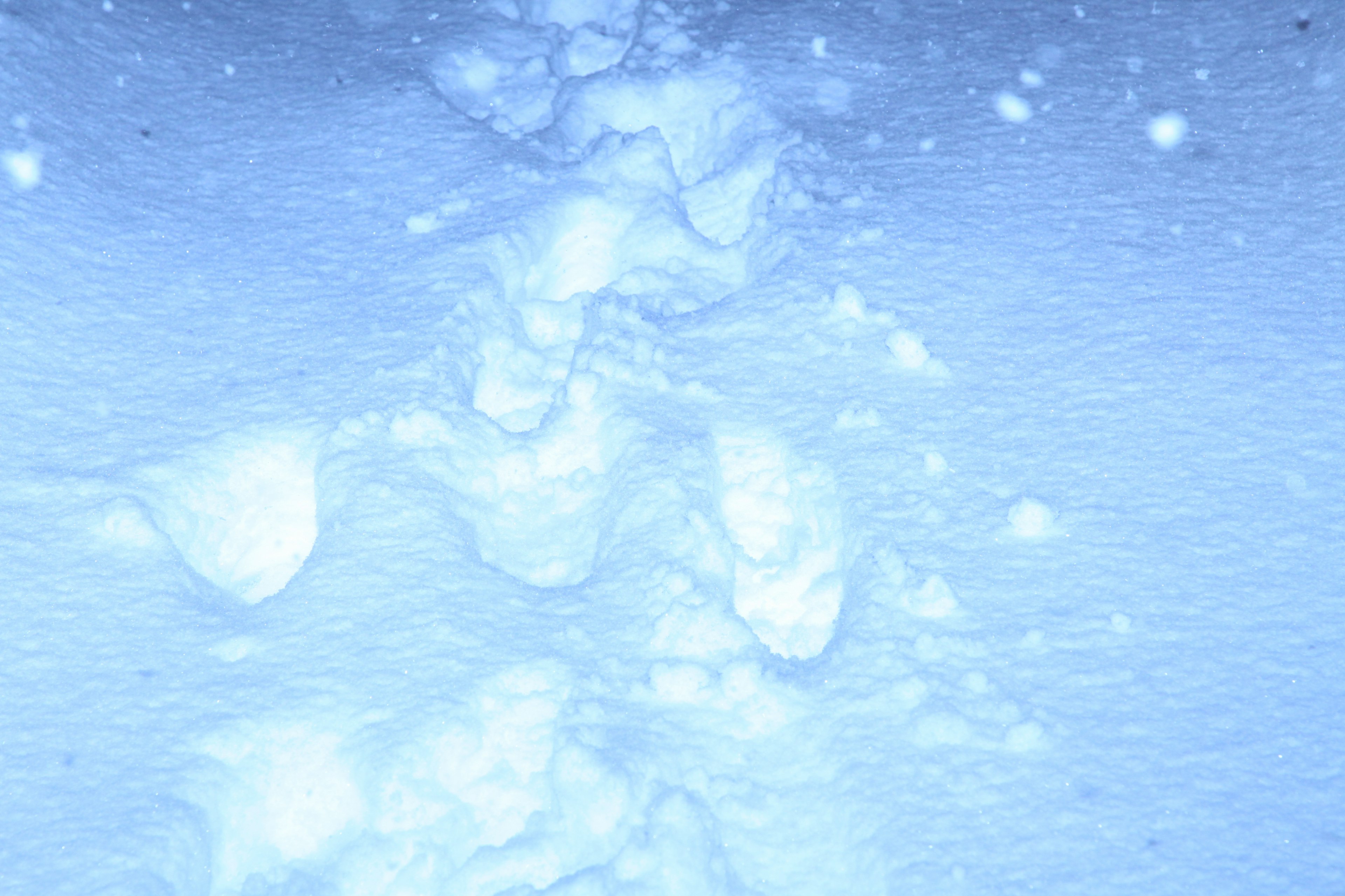 Footprints on snow with a blue background