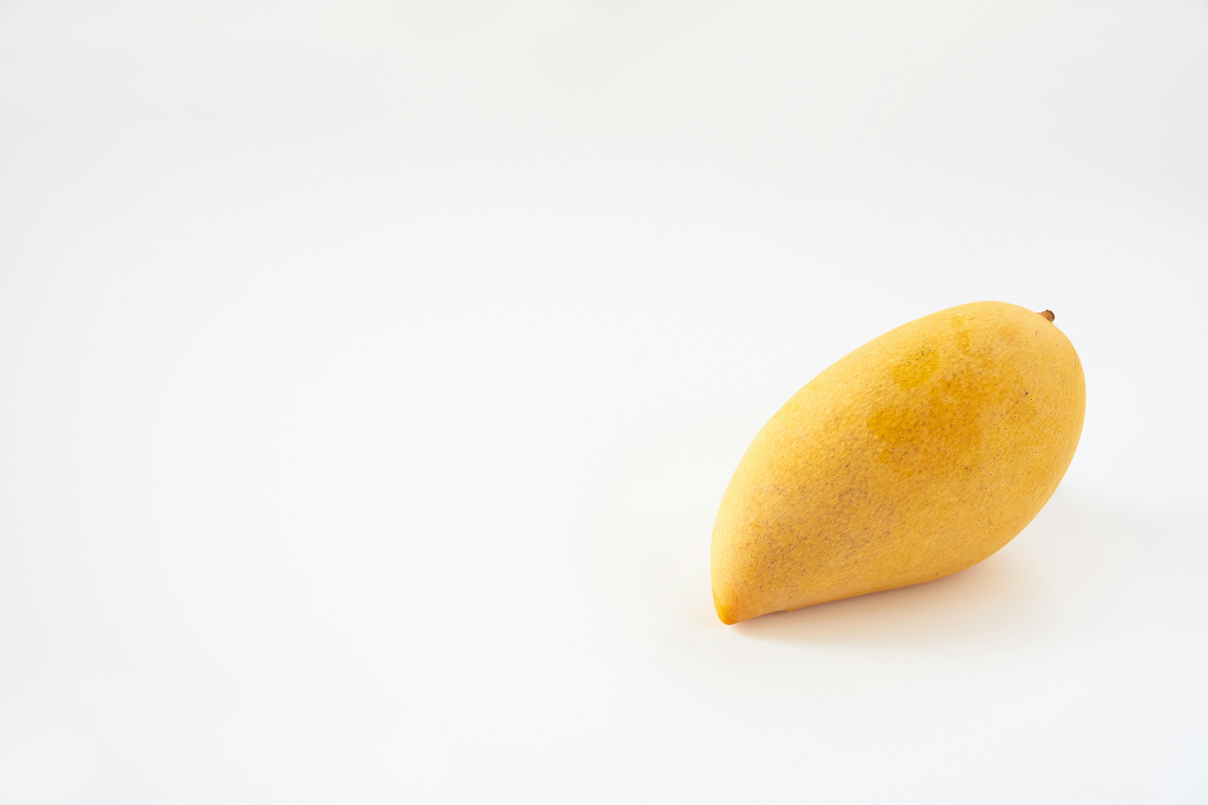 Un mango amarillo sobre un fondo blanco simple