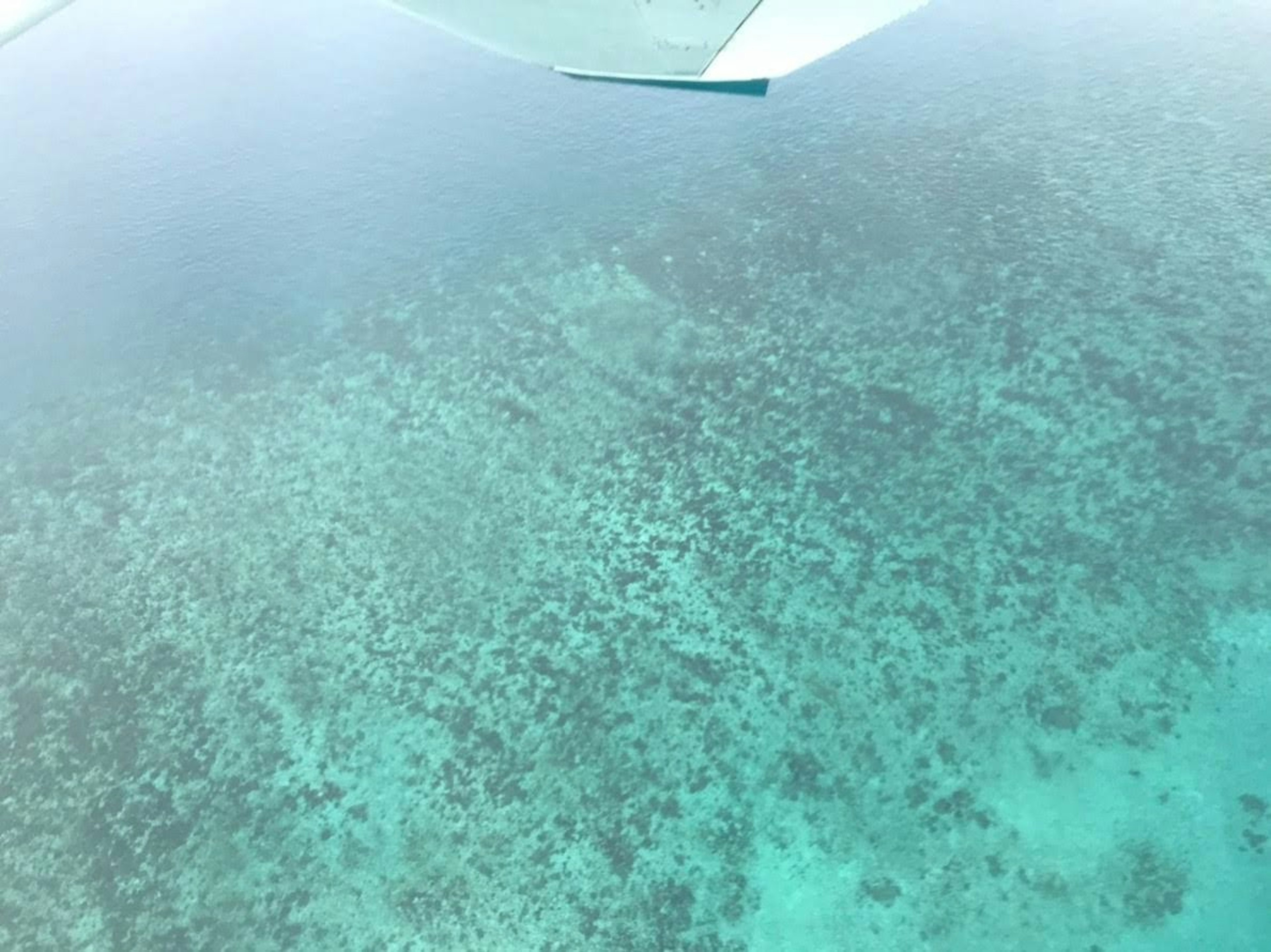 Aerial view of turquoise water and coral reef