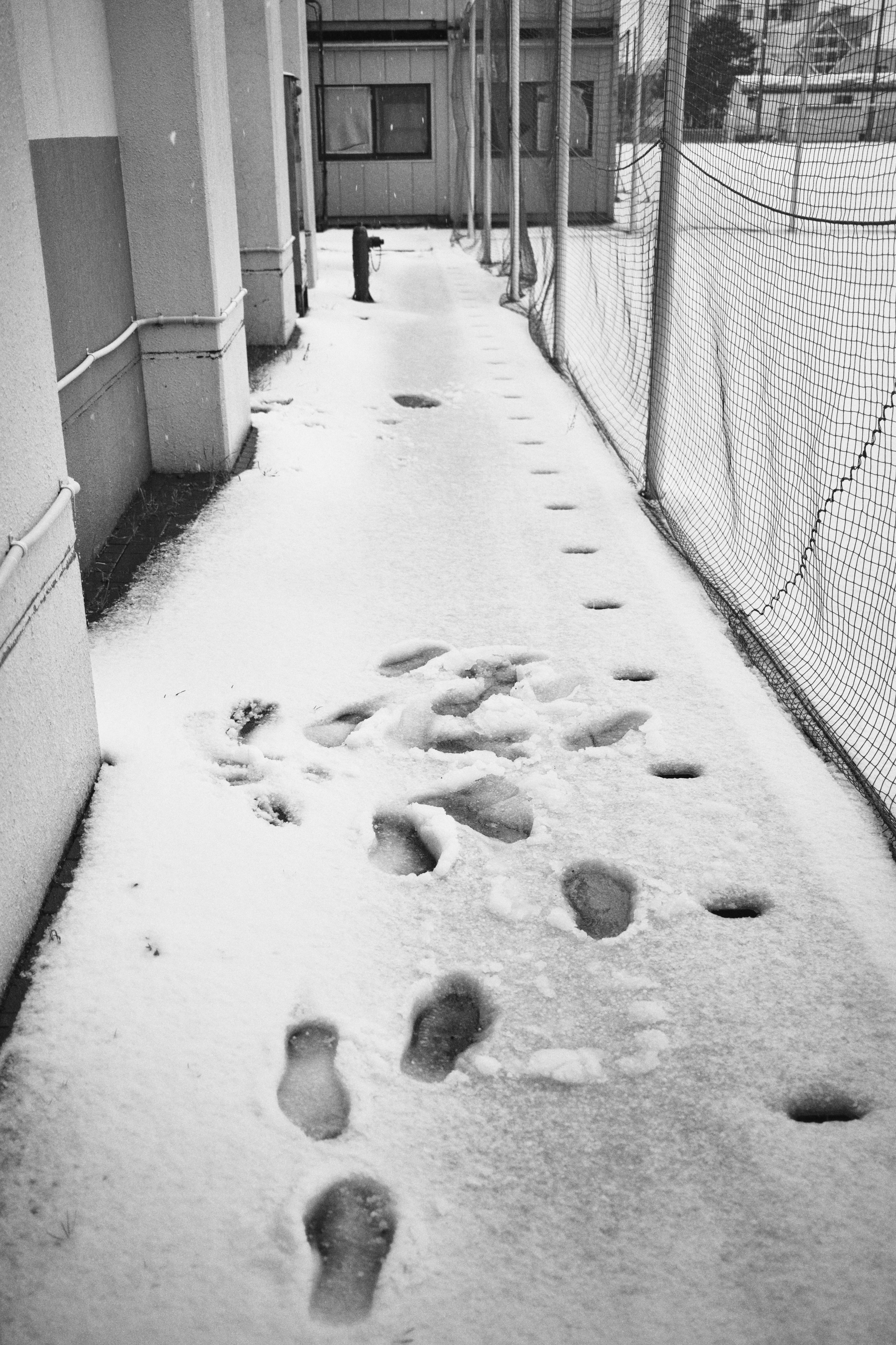 Un couloir recouvert de neige avec des empreintes visibles