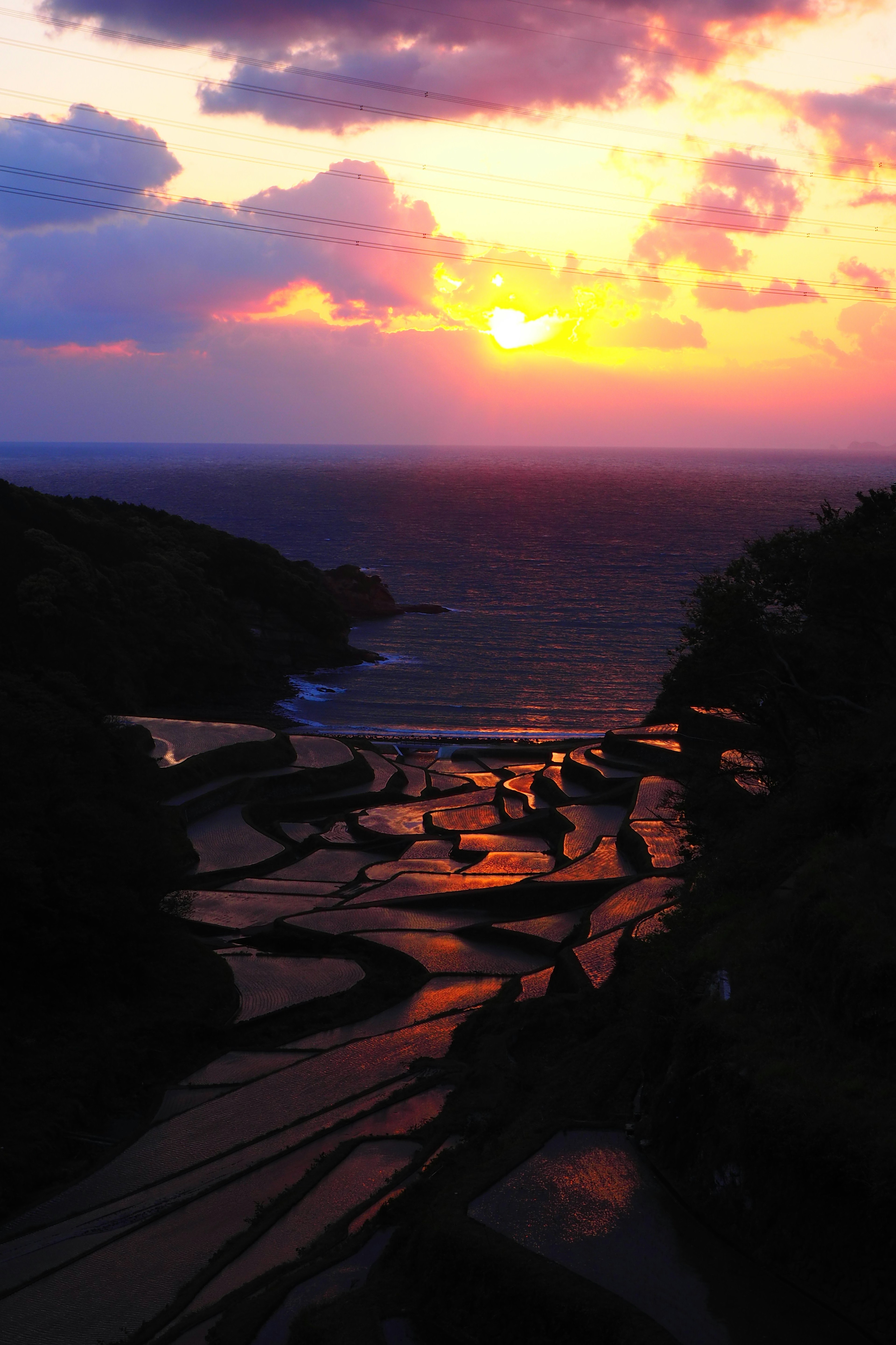 美しい夕日が海に沈む風景と棚田のシルエット