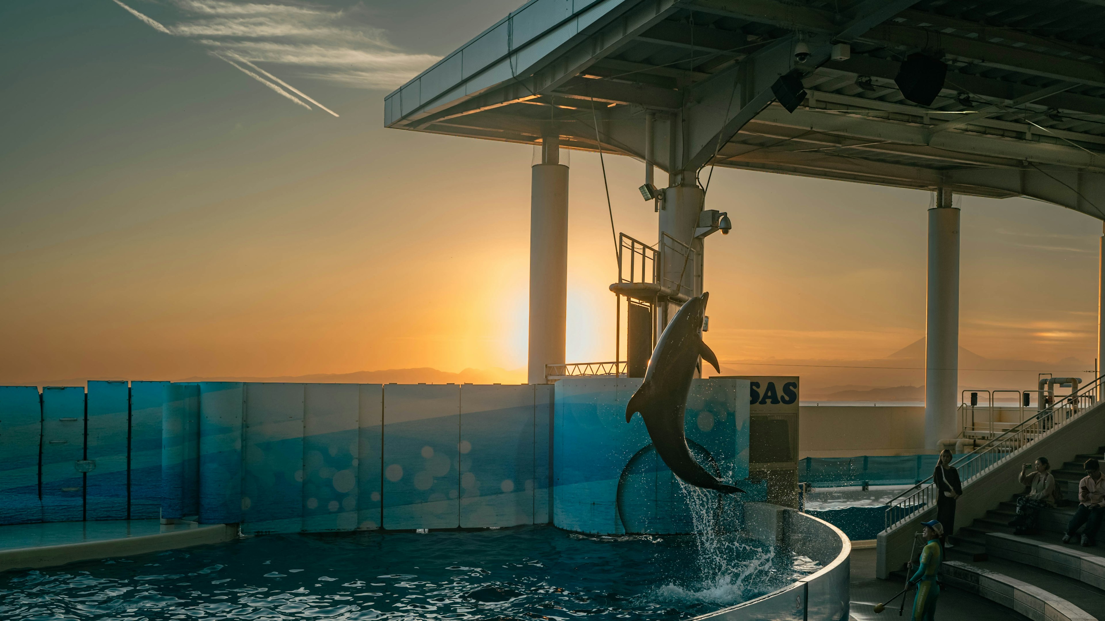 A dolphin jumping against a sunset backdrop at an aquarium