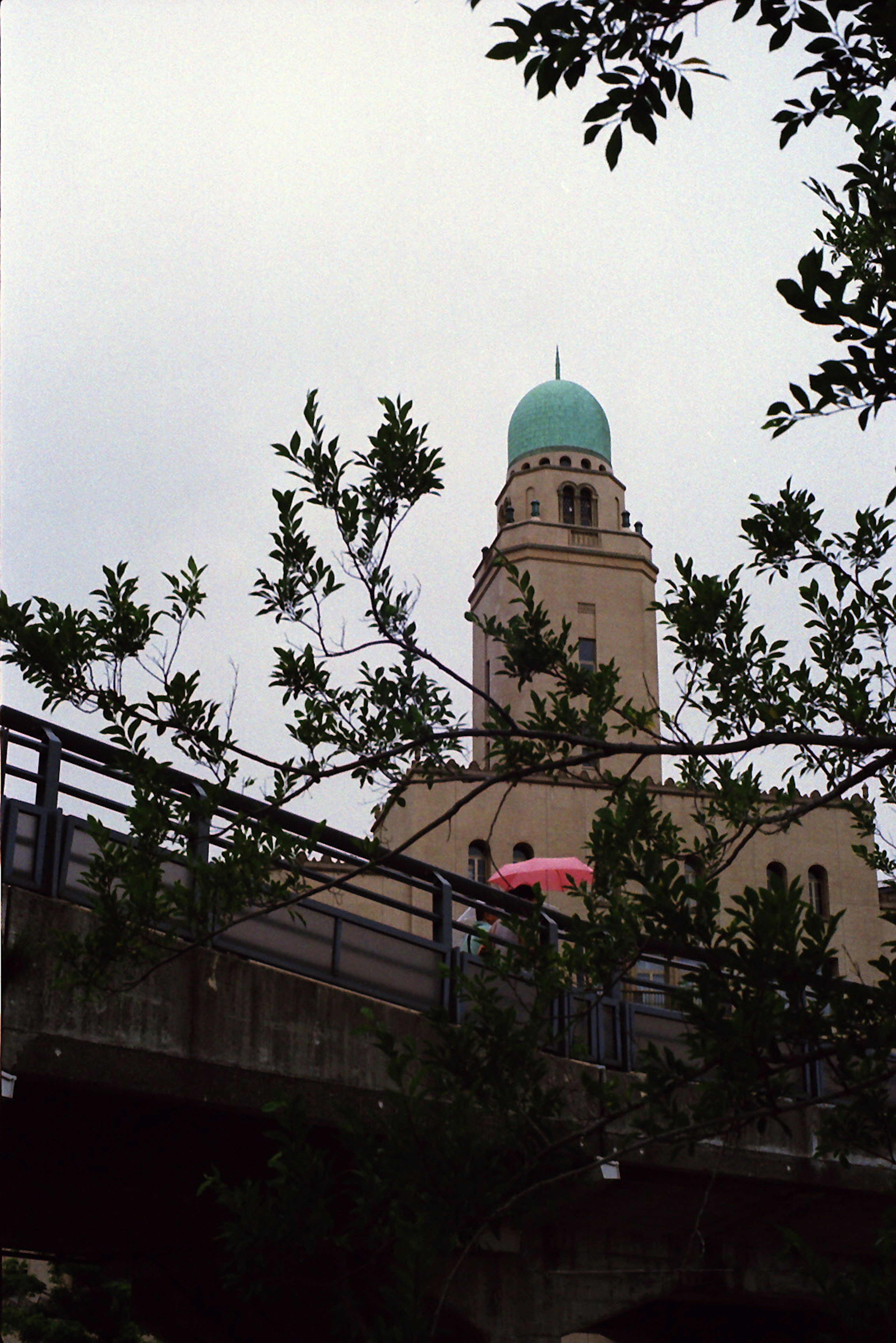 Edificio con una cupola verde visibile tra gli alberi