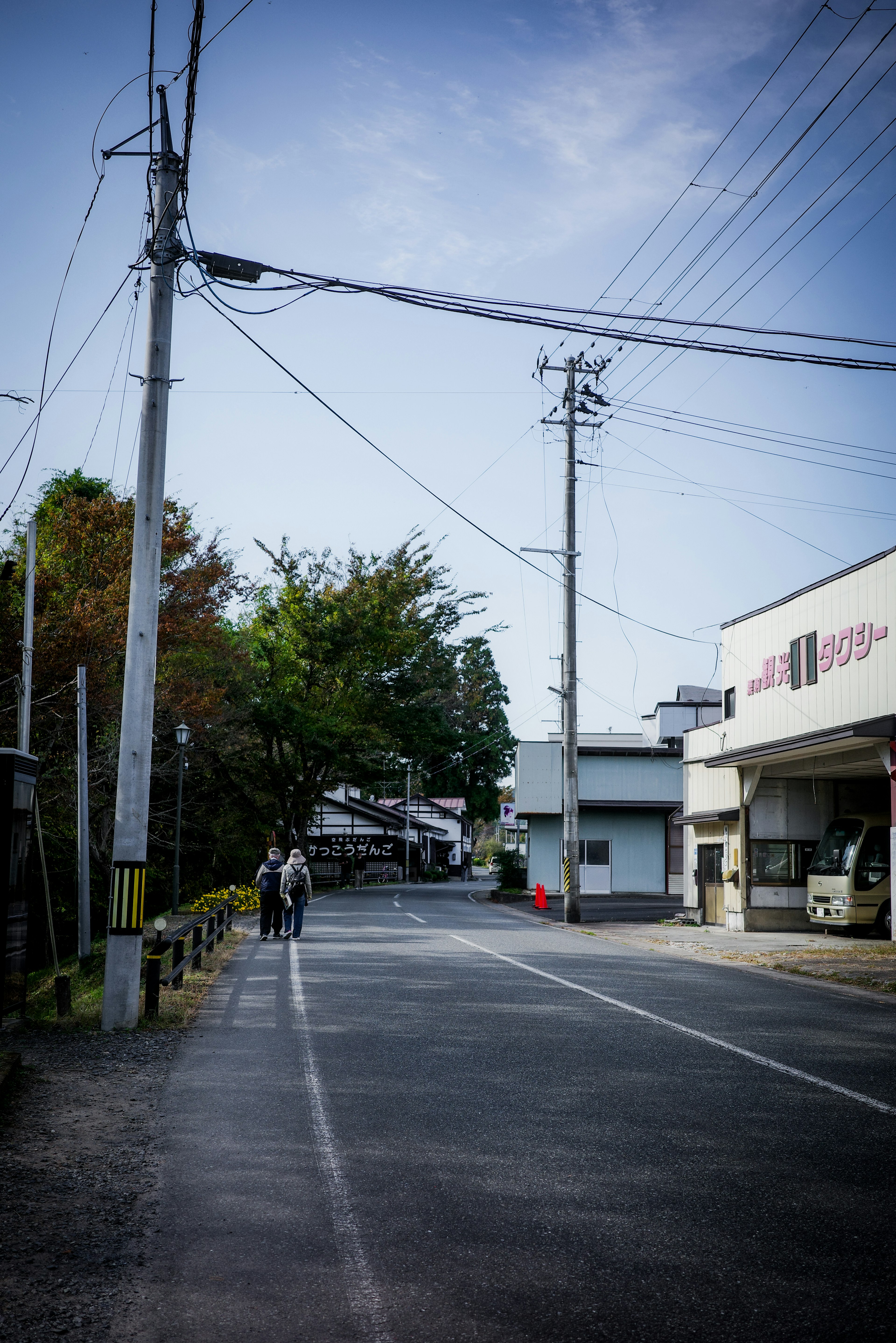 静かな田舎の通りに沿った風景で、木々と電柱が並ぶ