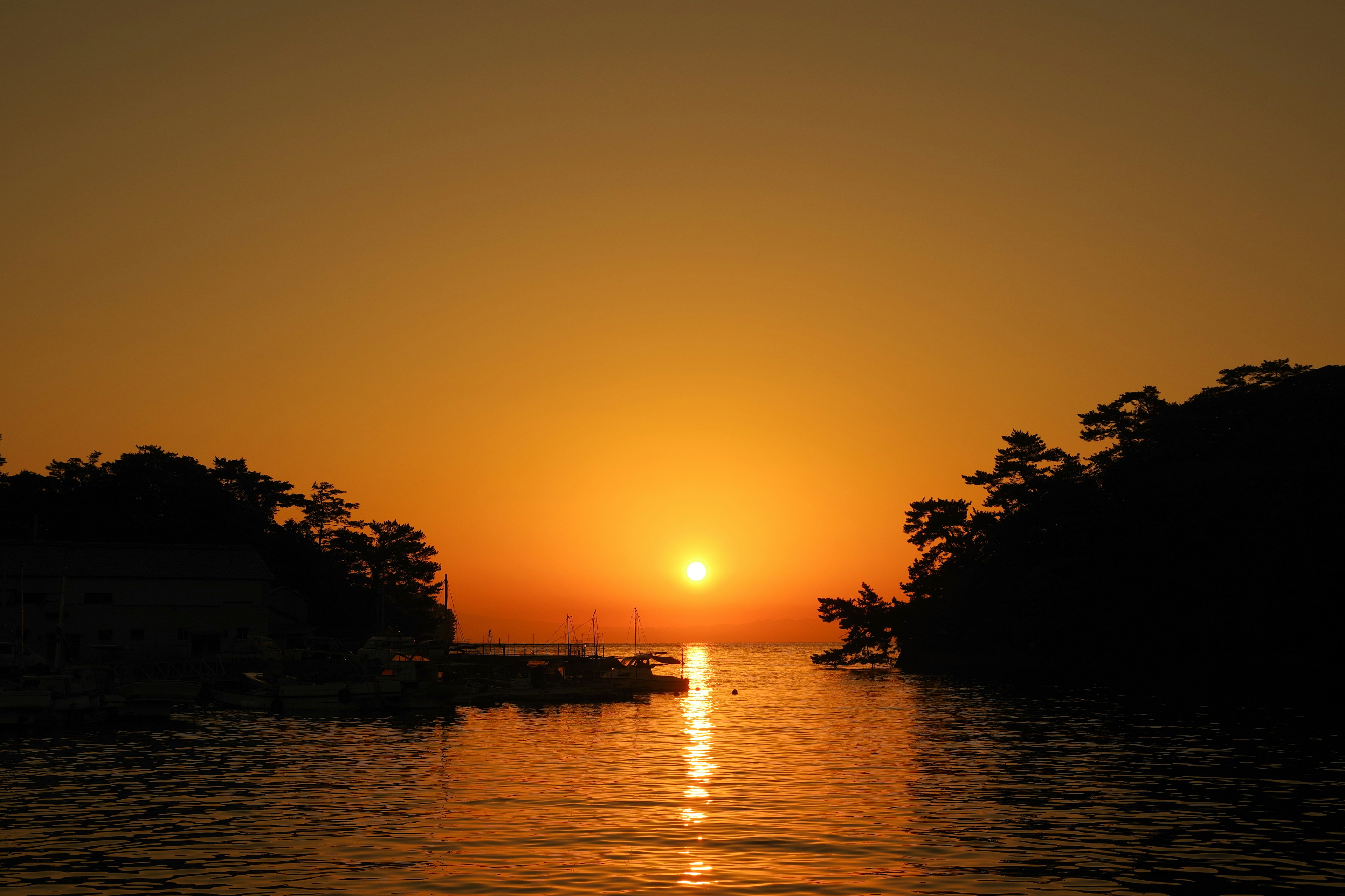 Hermoso atardecer sobre el océano con siluetas de árboles