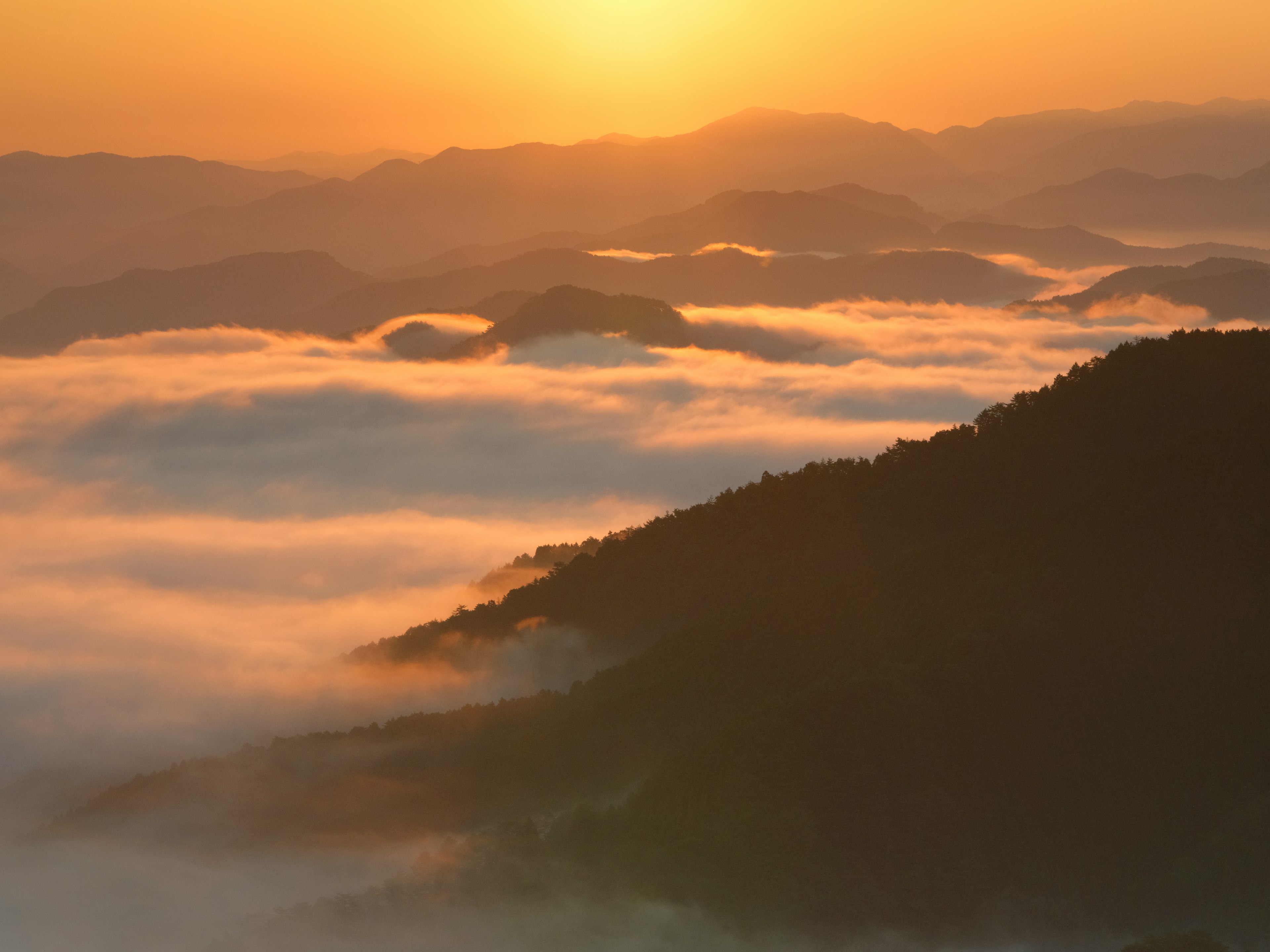 山々の間に広がる霧とオレンジ色の夕日