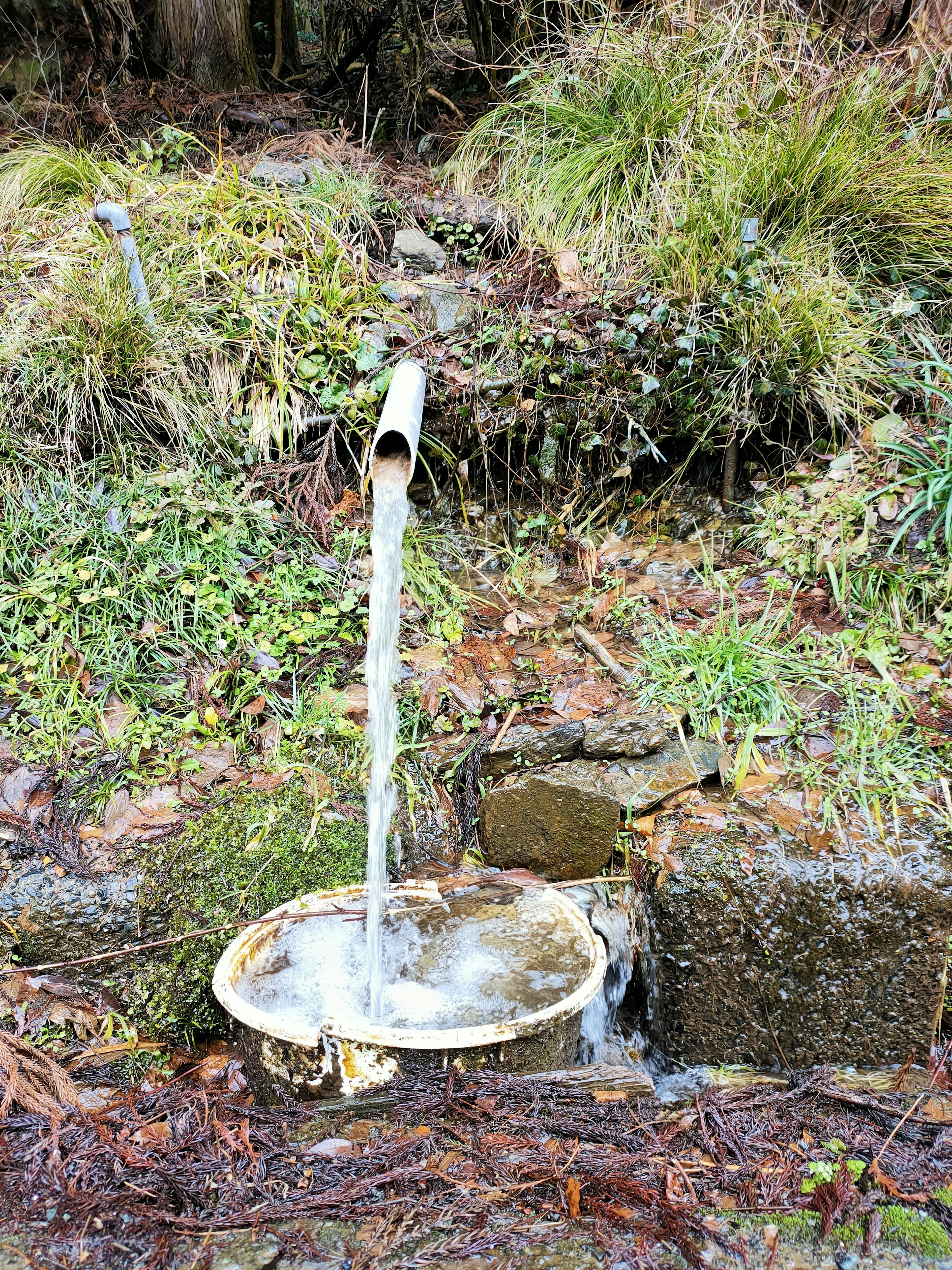 Scène naturelle avec un tuyau laissant couler de l'eau dans un bassin