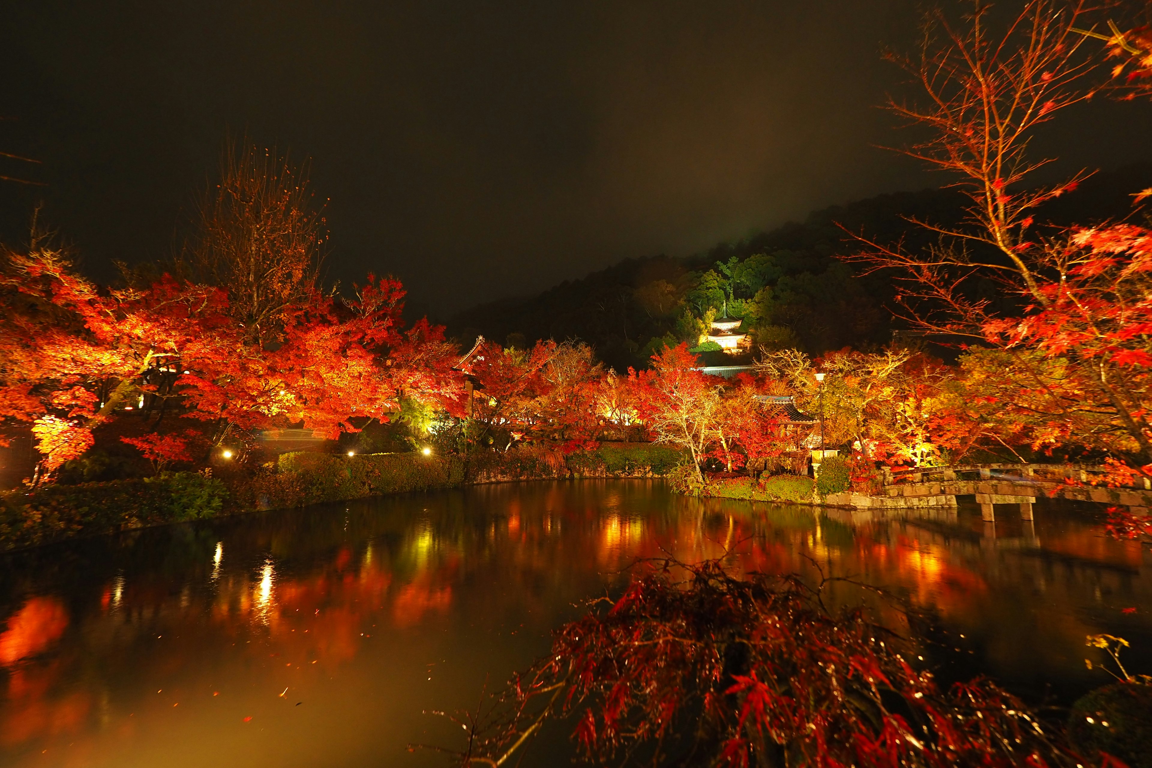 Hermosa vista nocturna de hojas de otoño y un estanque