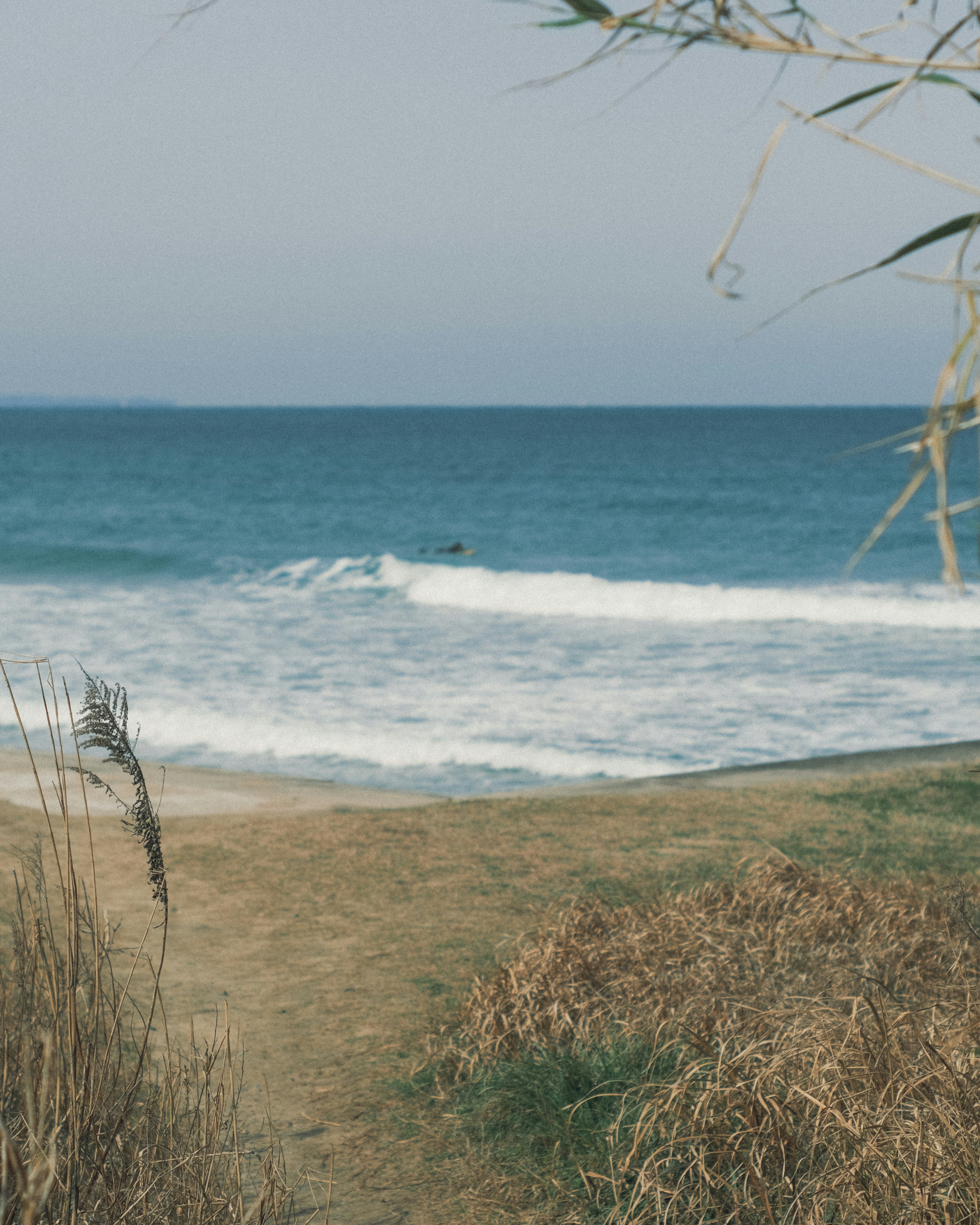 Pemandangan pantai dengan ombak dan tepi rumput