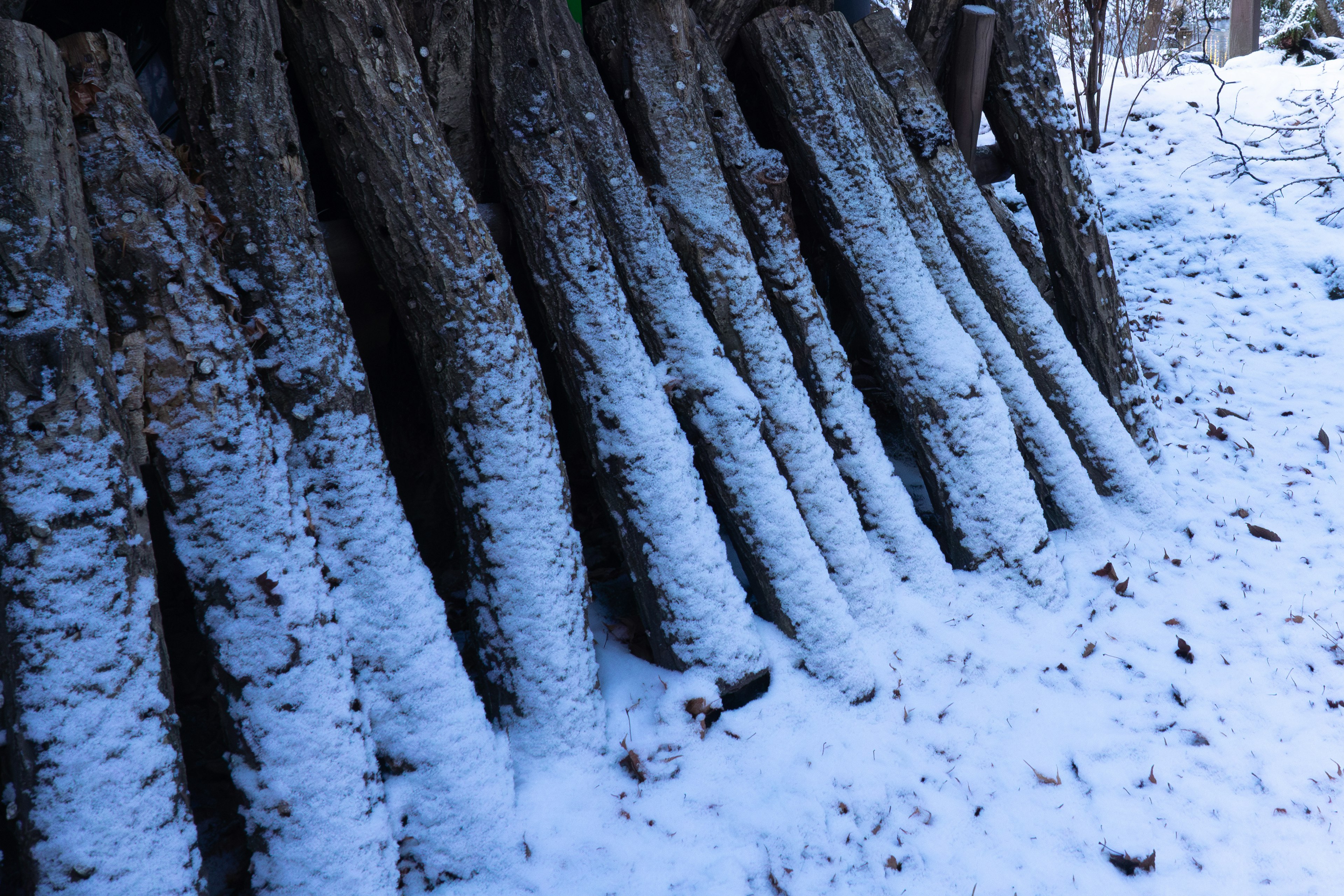 Une scène de bûches couvertes de neige disposées soigneusement