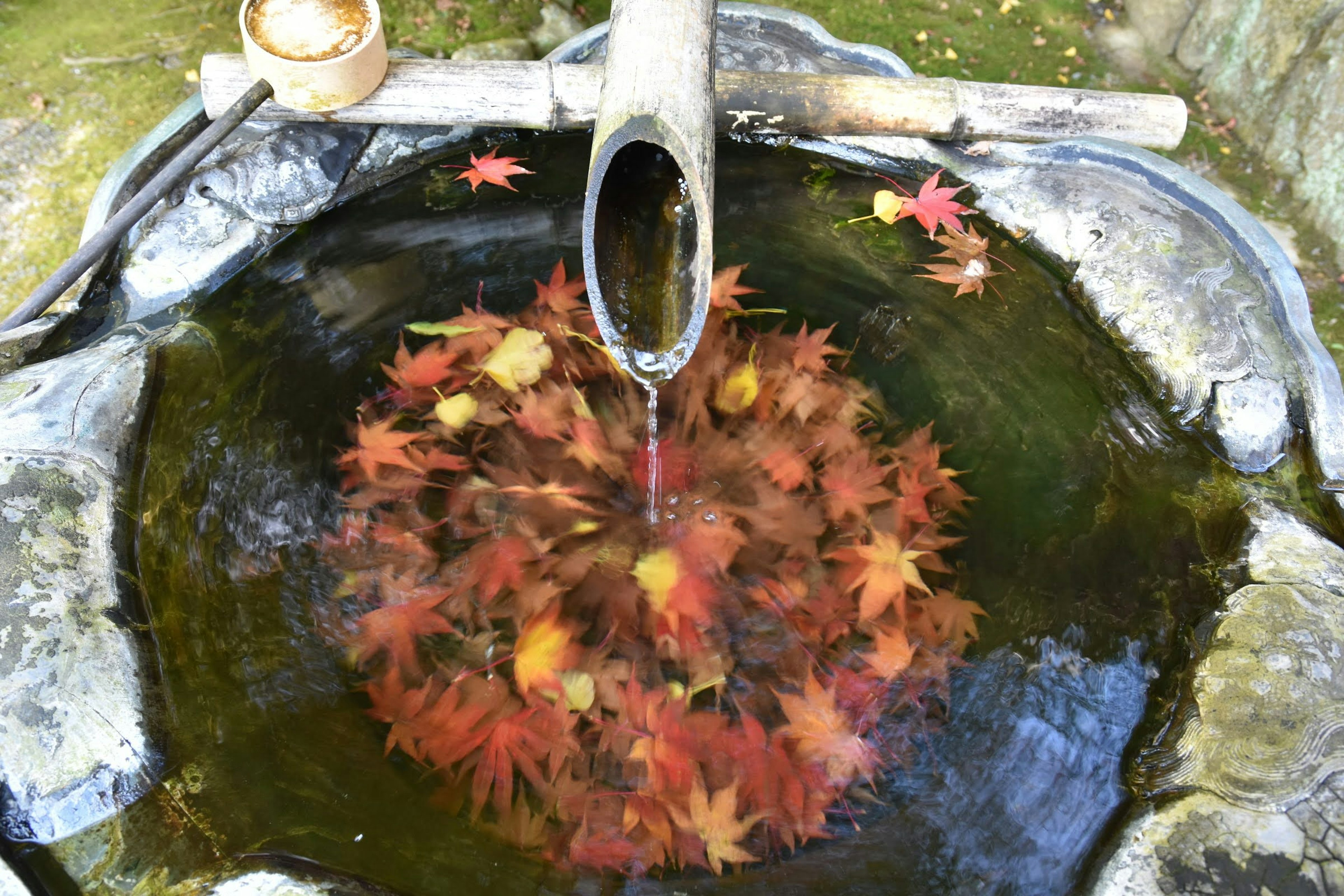 Escena tranquila de estanque con hojas de otoño flotantes y fuente de bambú