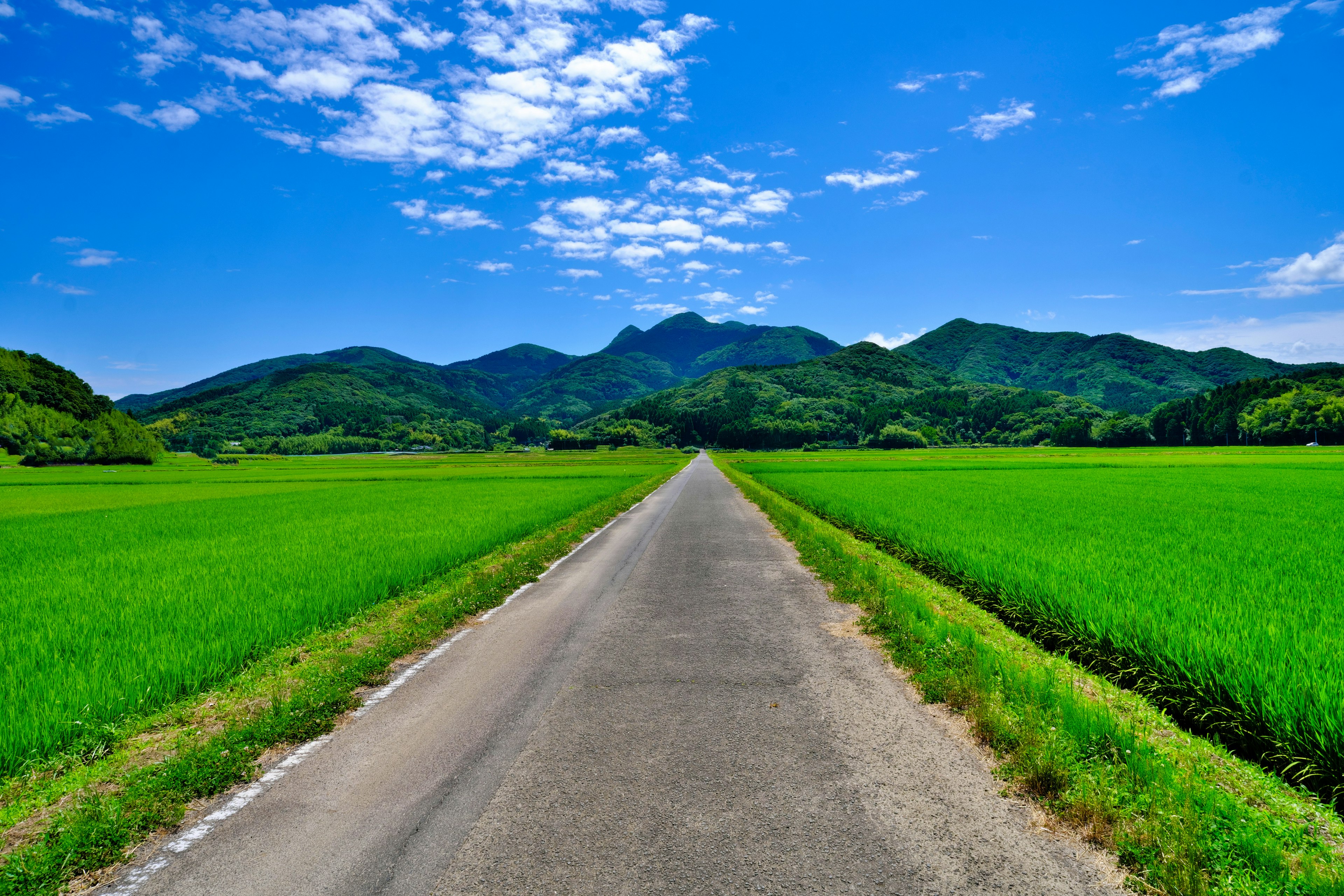 Una vista escénica de campos de arroz verdes y montañas bajo un cielo azul con nubes blancas