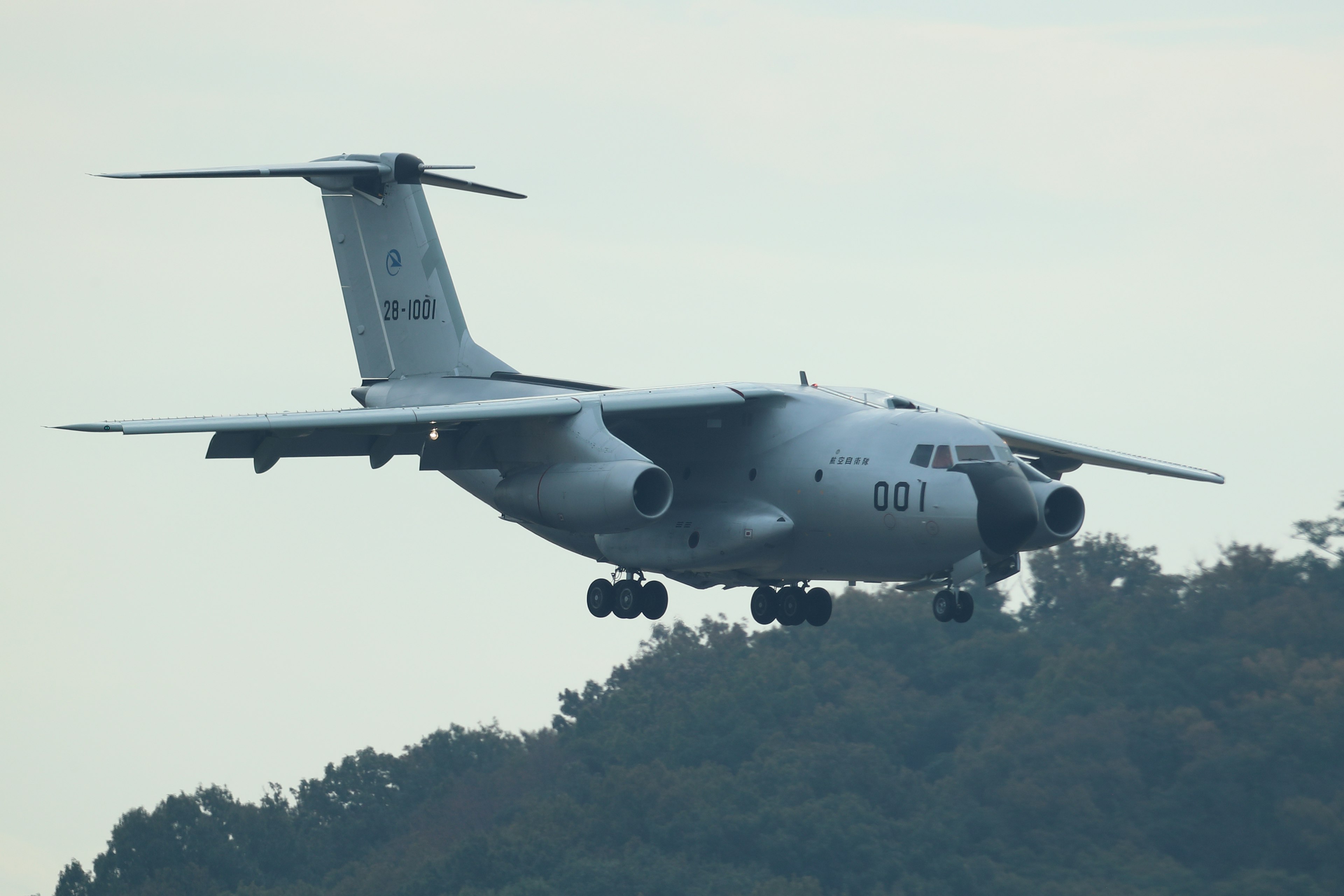 低空飛行中の軍用機の画像で山の背景が見える