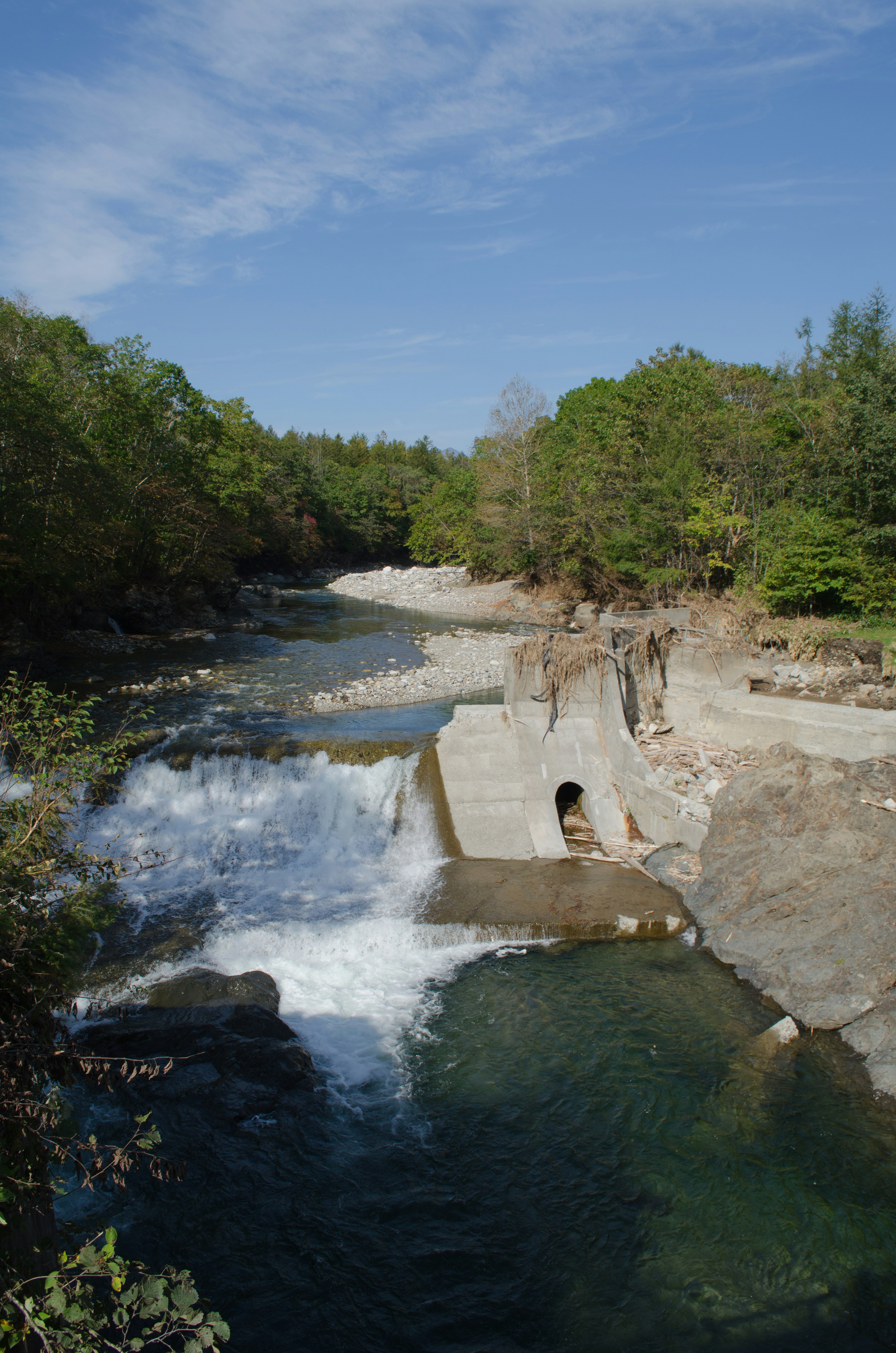 Wunderschöner Wasserfall und klarer Bach in einem üppigen Wald