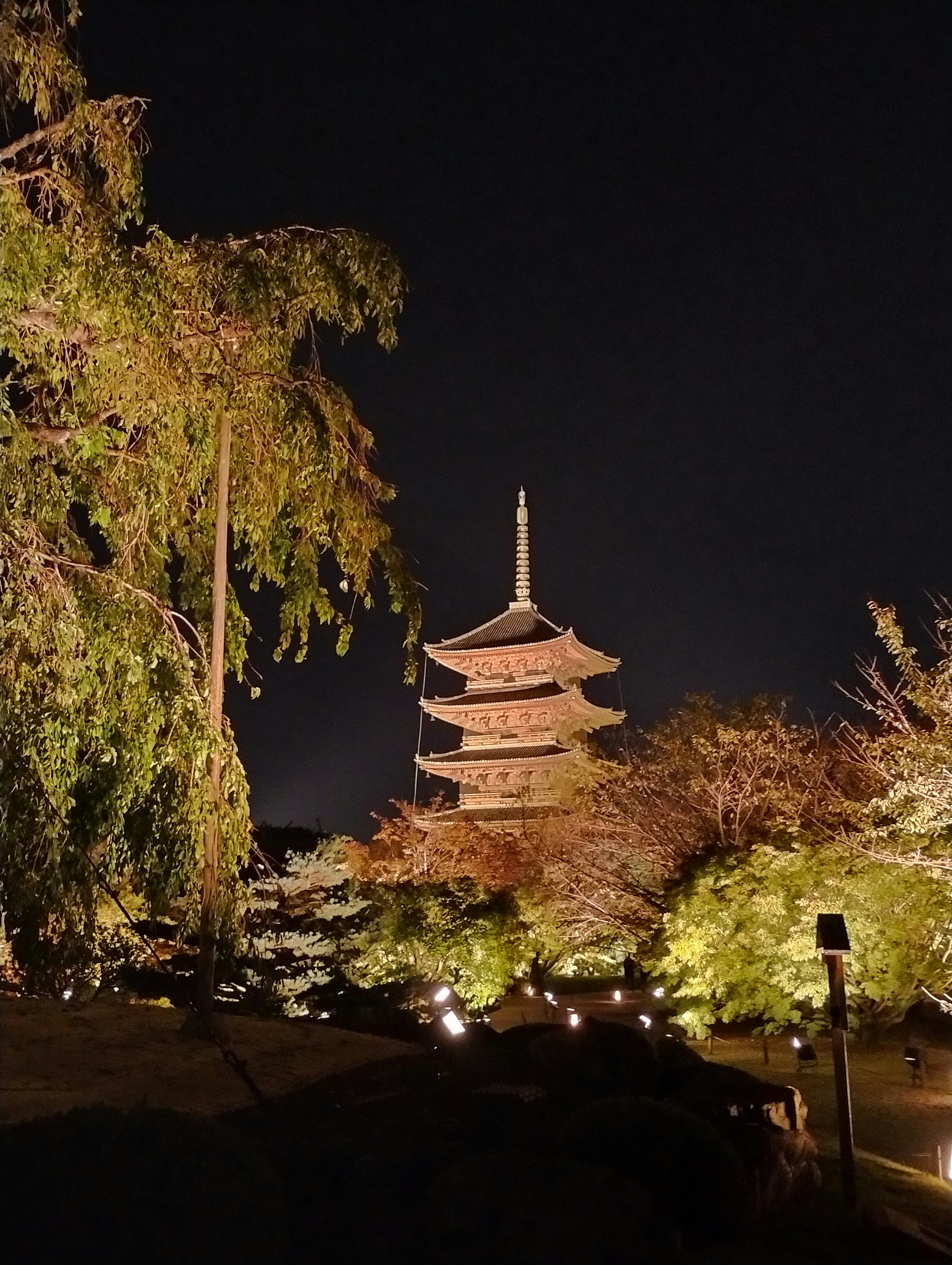 Pagoda de cinco pisos bellamente iluminada rodeada de naturaleza por la noche