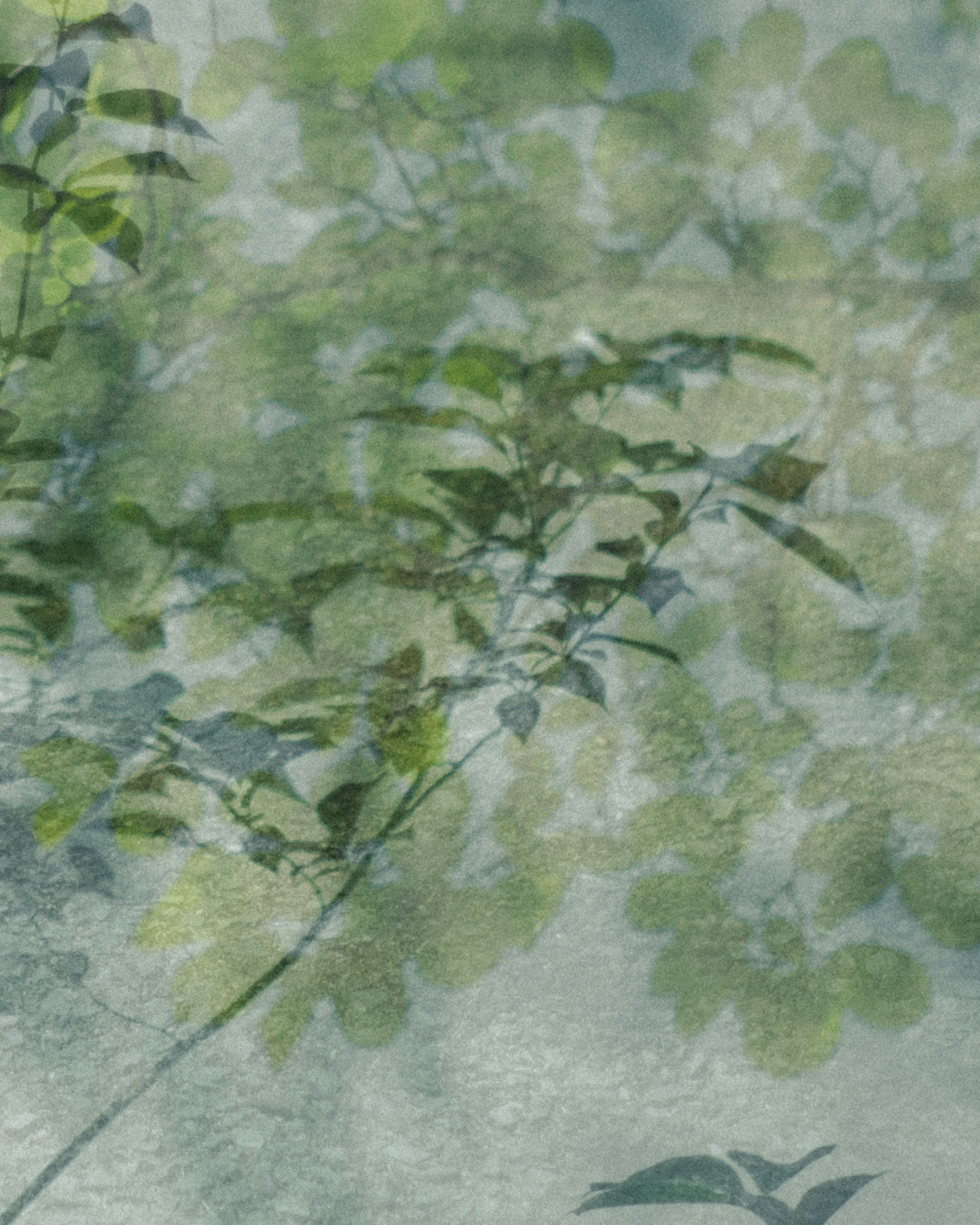 Soft background of overlapping green leaves