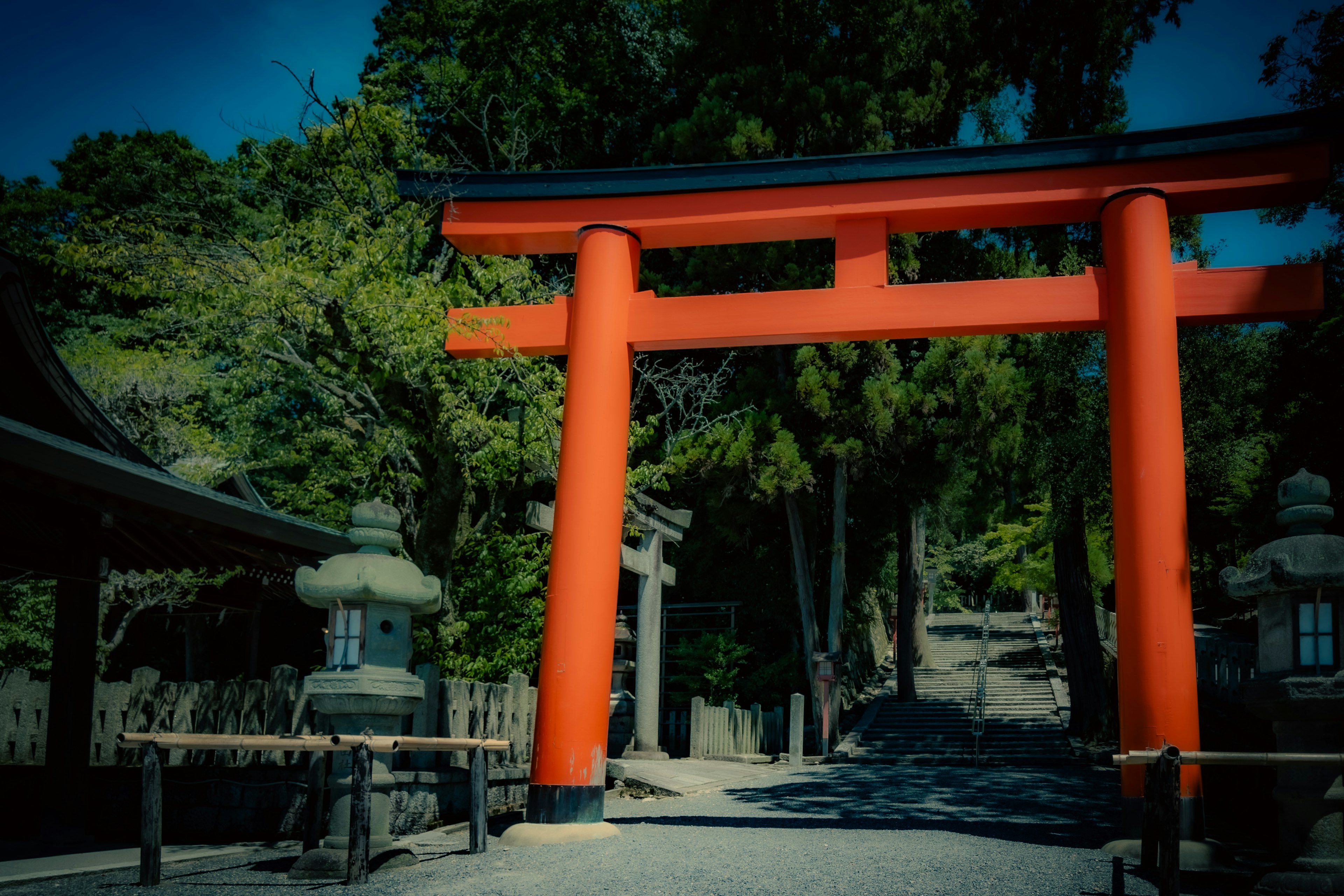 一个生动的红色鸟居门口，周围环绕着绿色植物的神社入口