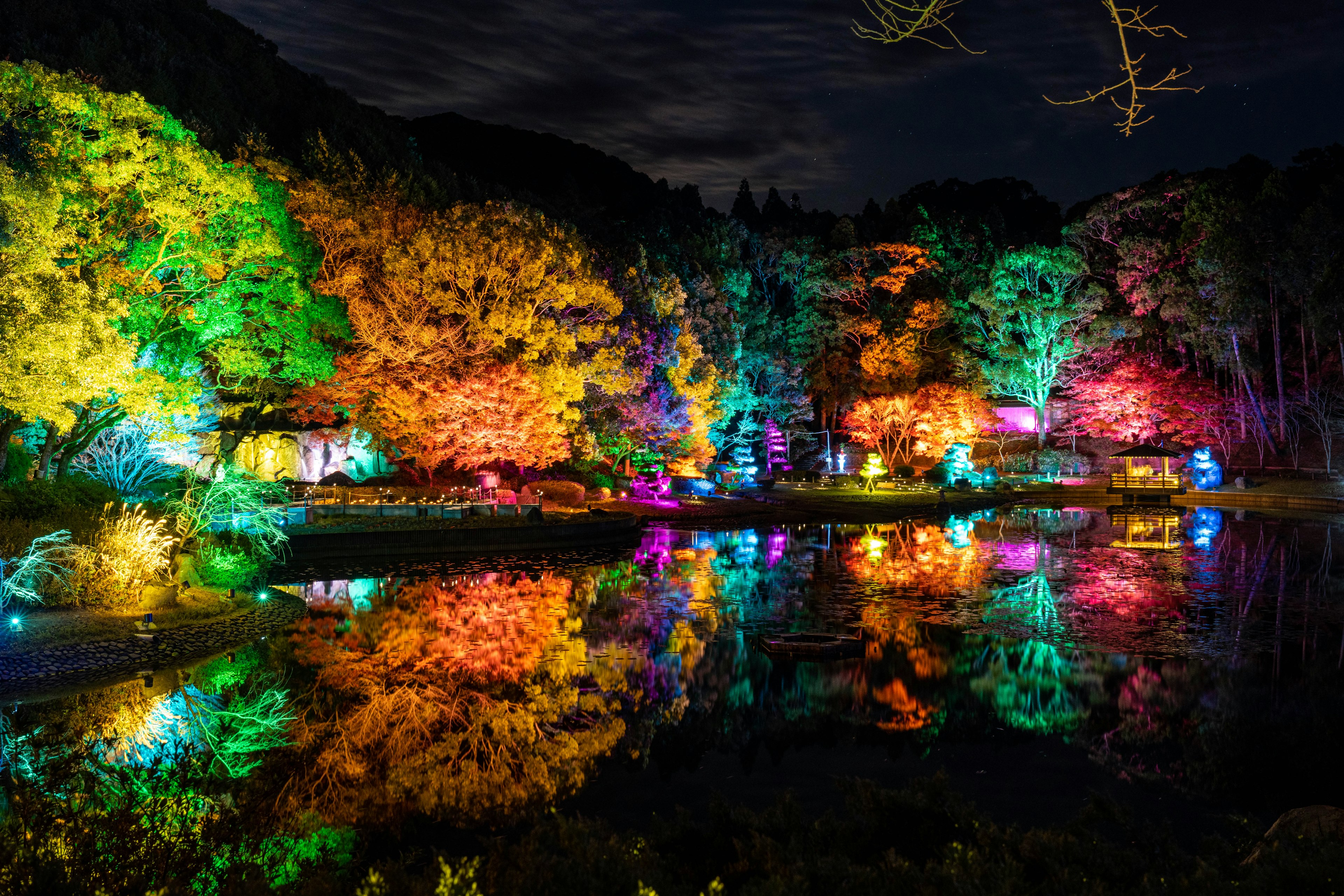 Hermoso paisaje de árboles iluminados en varios colores alrededor de un estanque por la noche