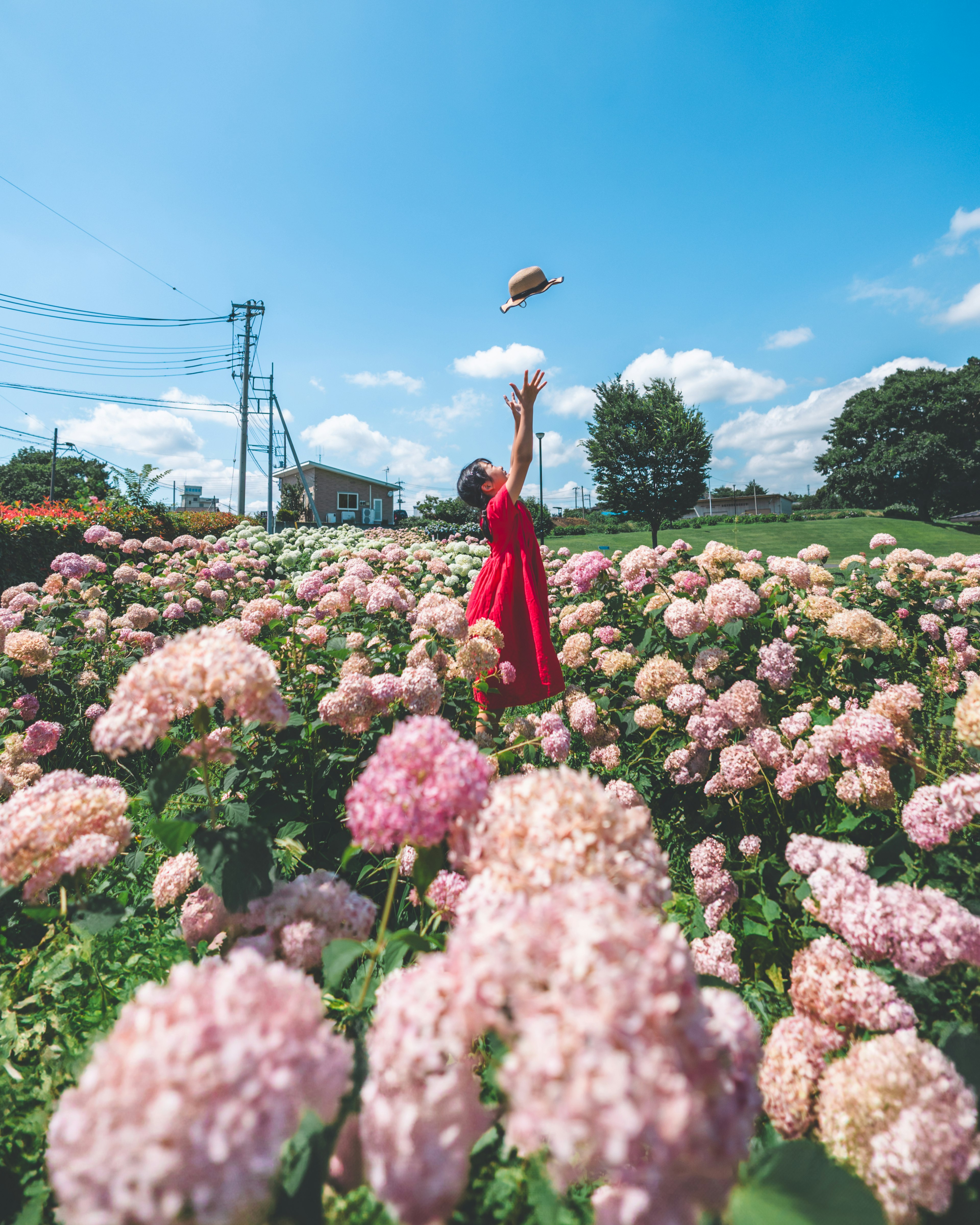 赤いドレスを着た女性が花畑で本を投げている