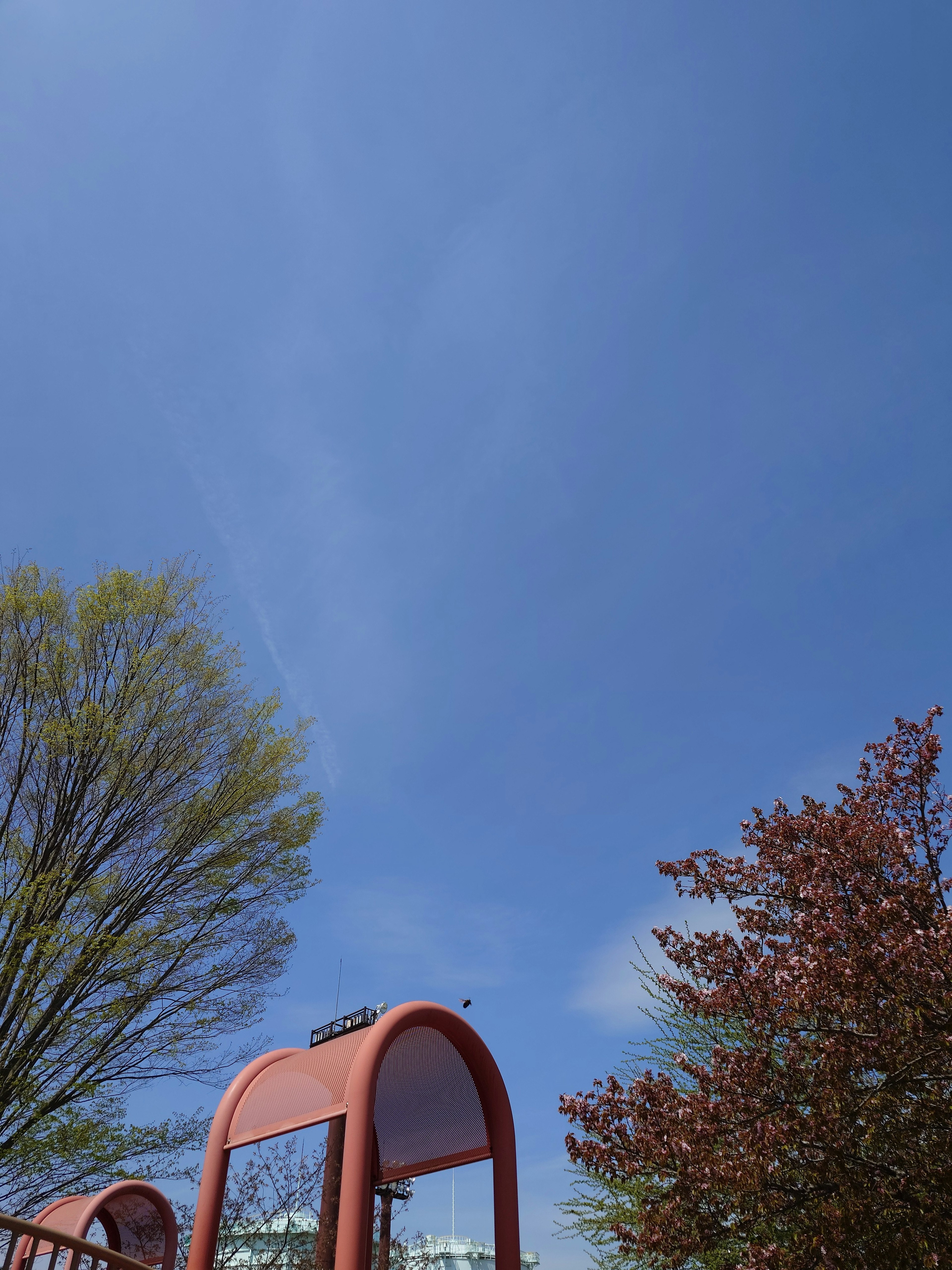 Vue du parc avec ciel bleu clair et équipements de jeu