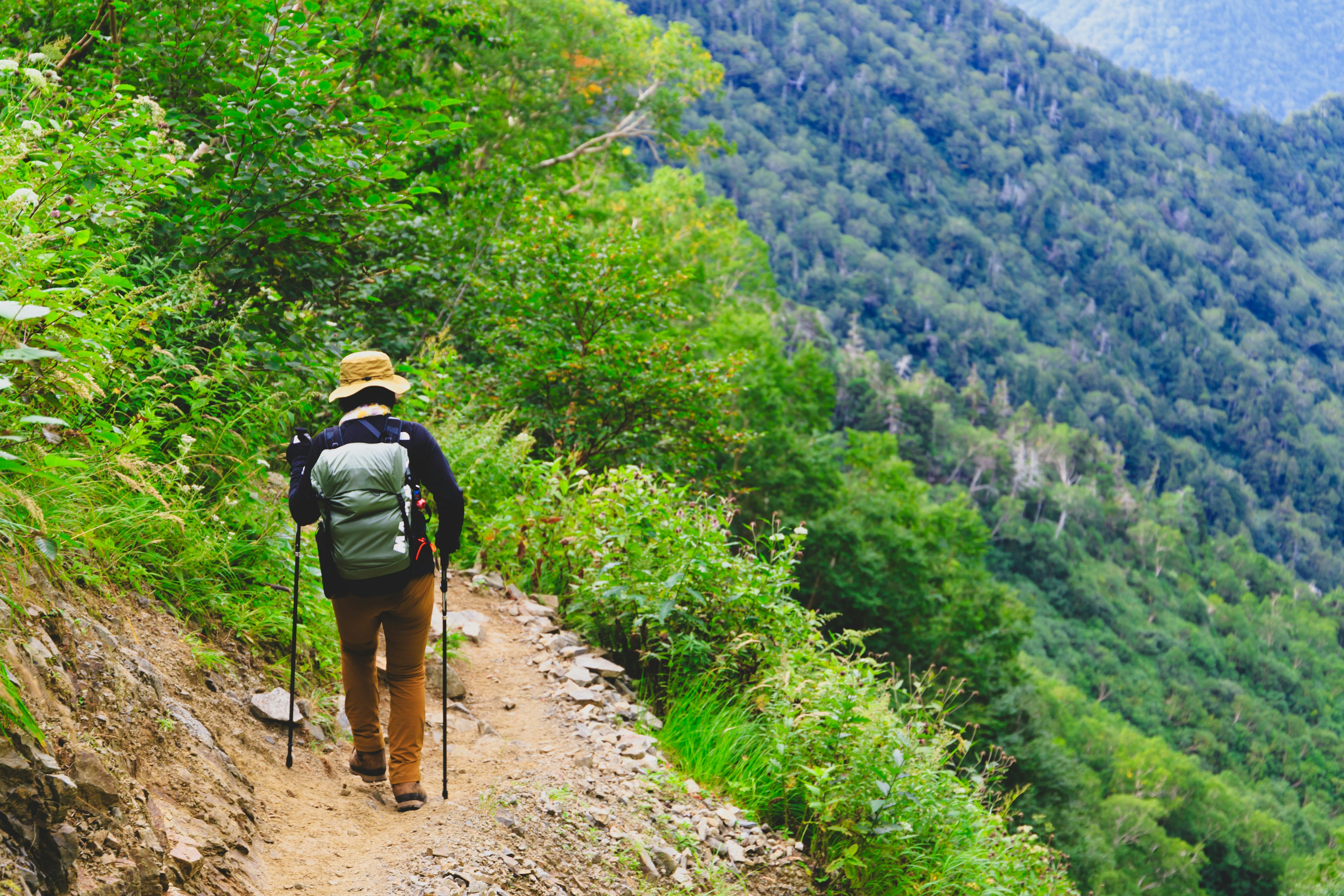 Hiker walking along a lush green mountain trail