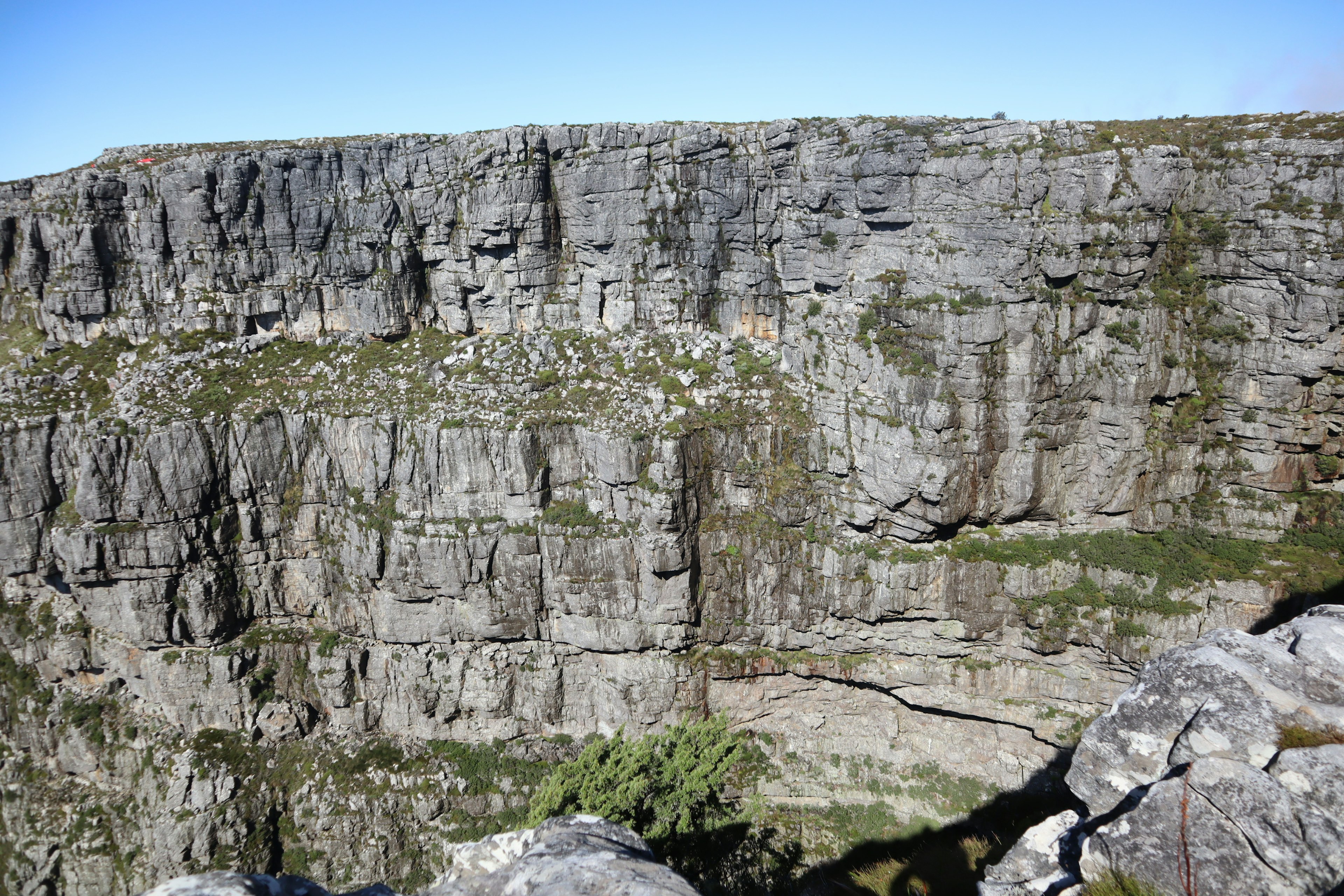 Vue de falaise montrant des murs rocheux et de la végétation verte