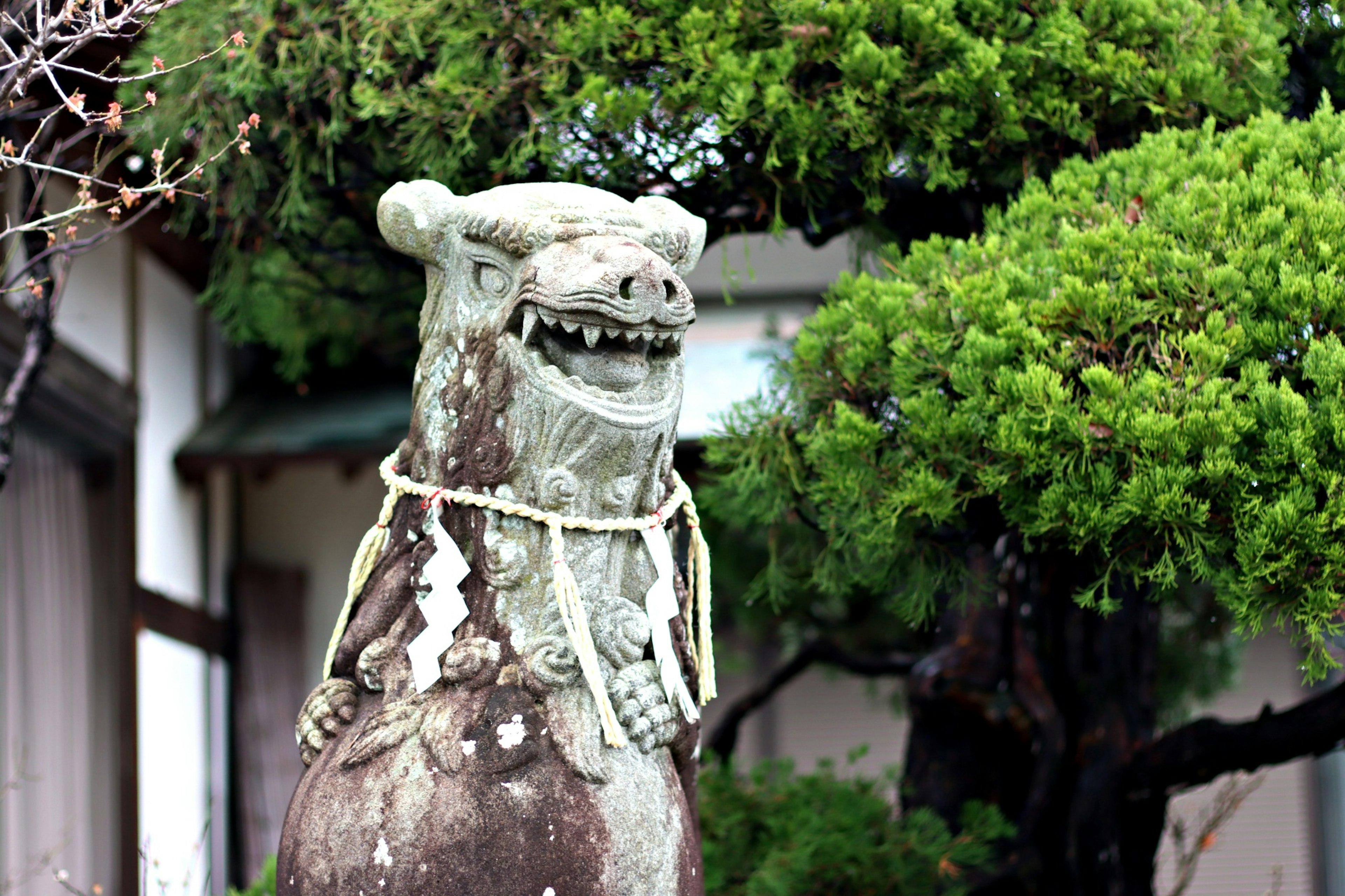 Stone lion statue standing in front of green trees