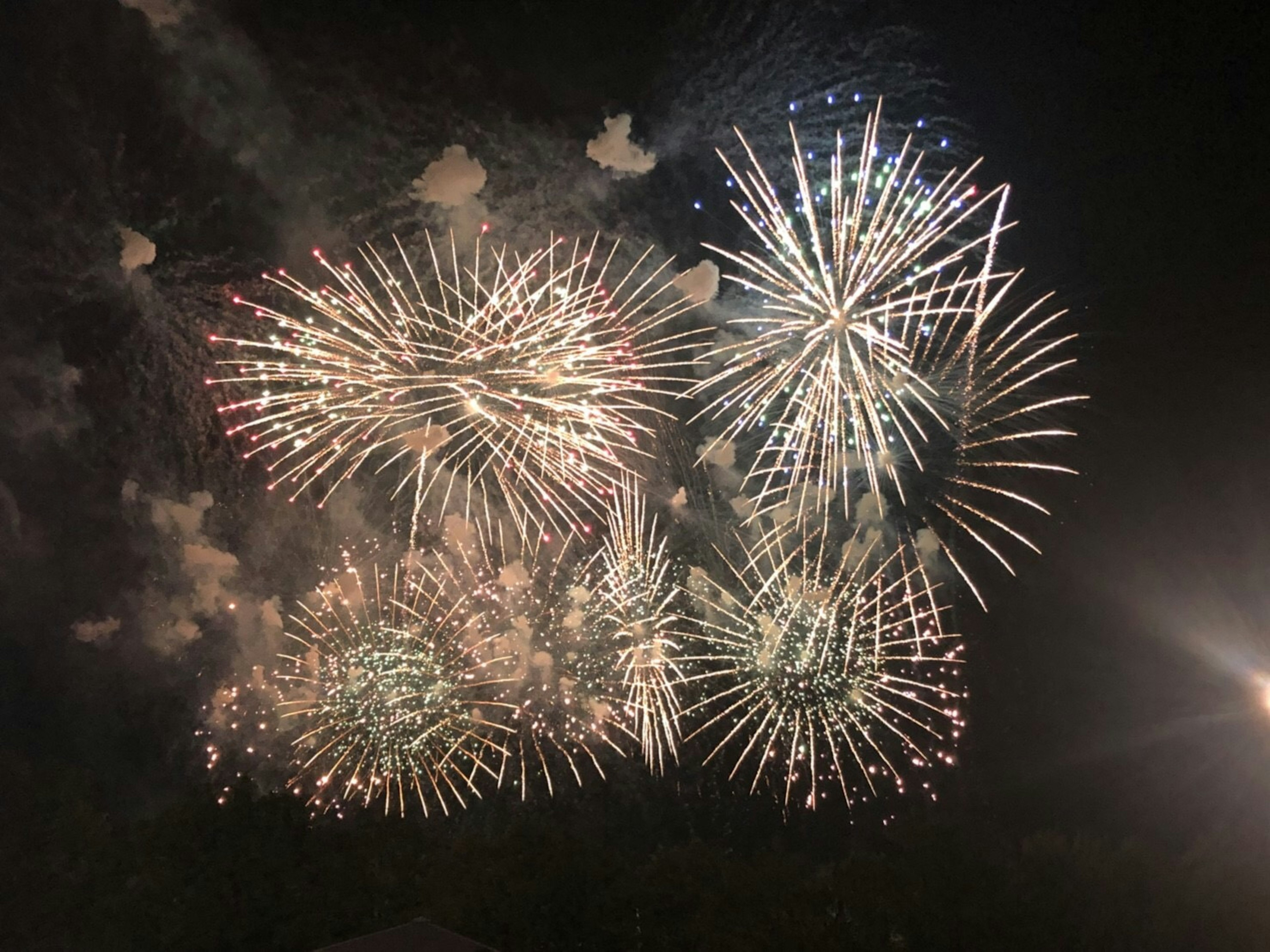 Fuochi d'artificio colorati che esplodono nel cielo notturno