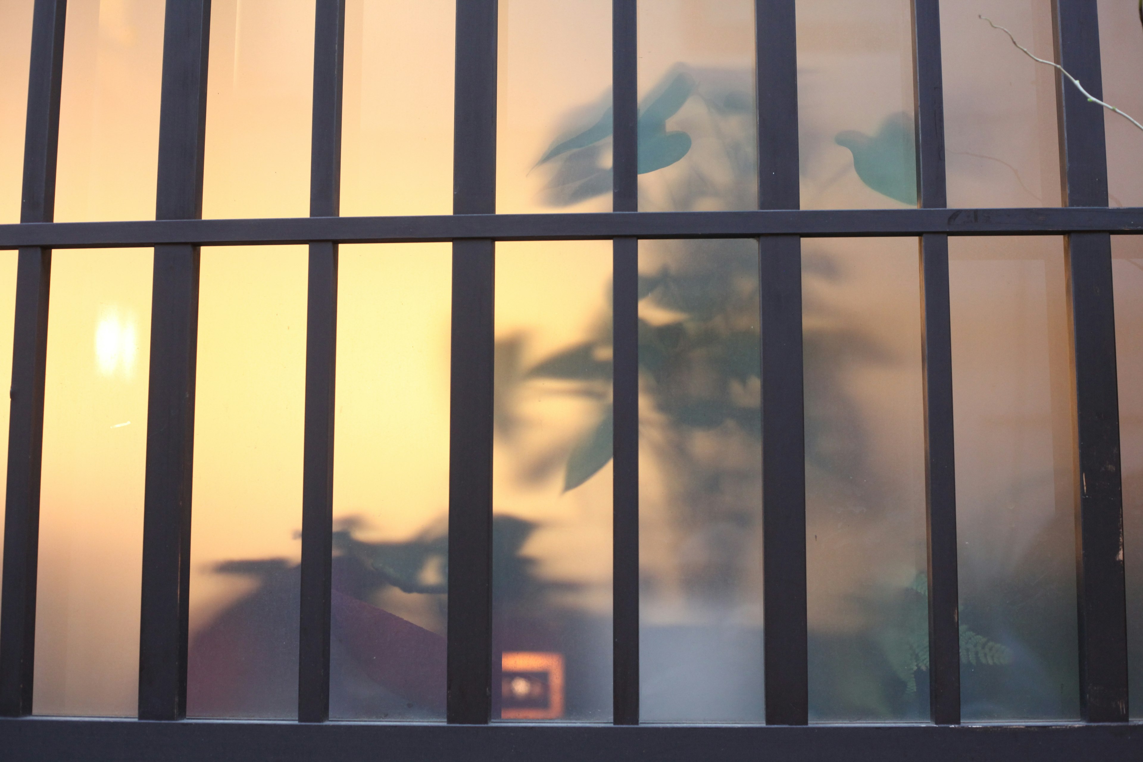 Planta borrosa visible a través de las rejas de una ventana con un atardecer naranja