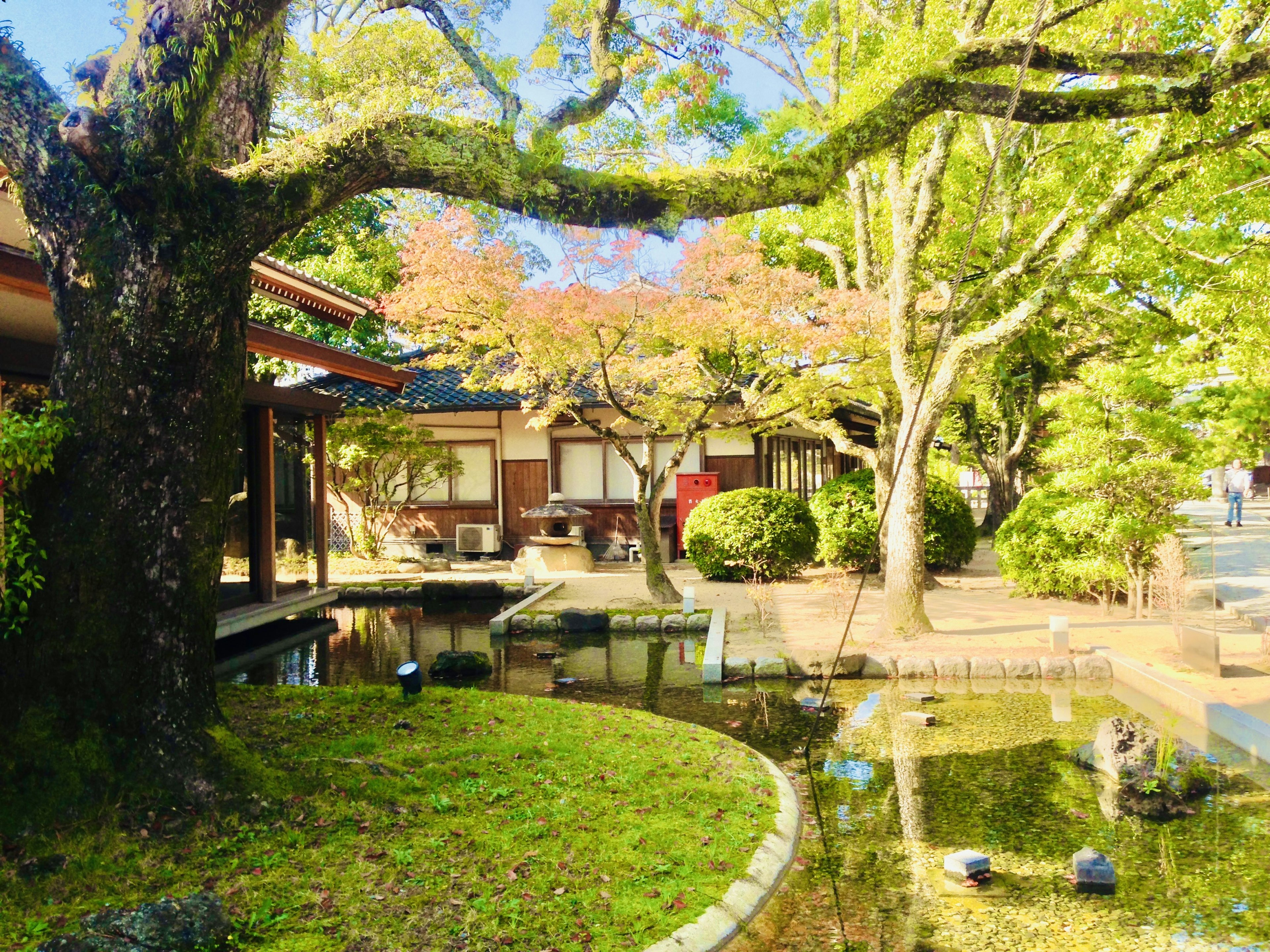 風景如畫的日本庭園，有池塘和傳統建築