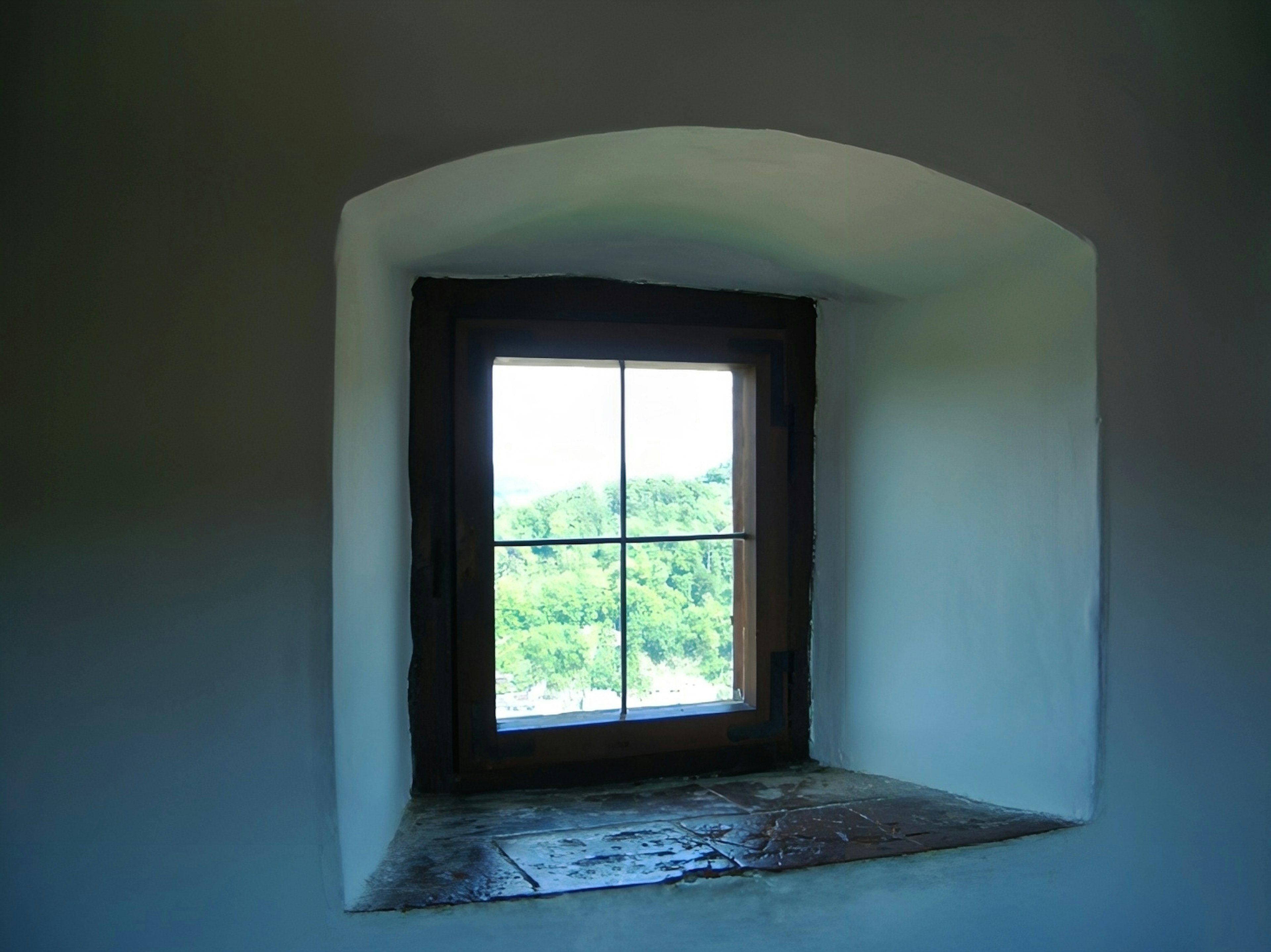 Ein Holzfensterrahmen in einer weißen Wand, der Grün draußen zeigt