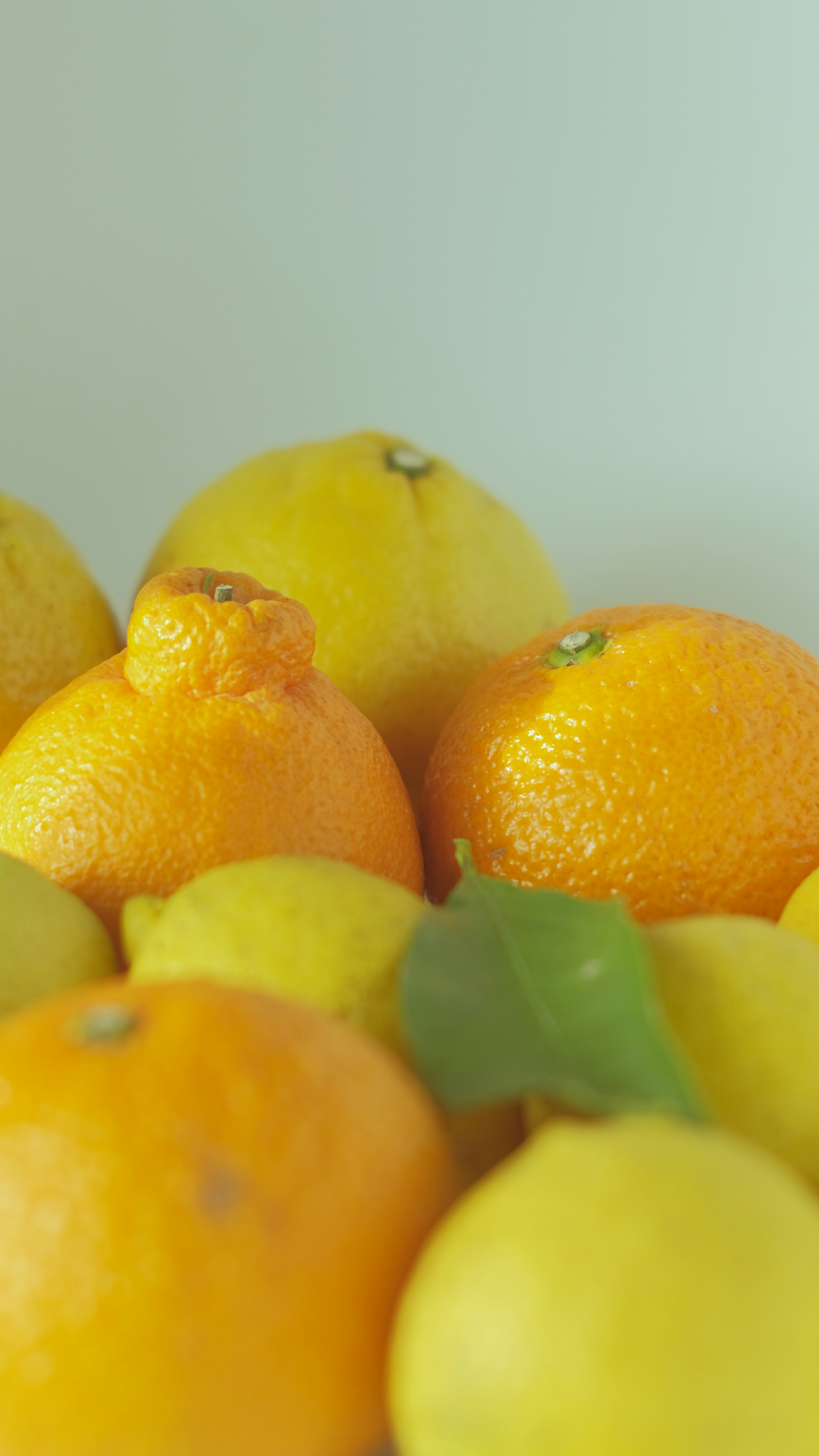 A collection of oranges and lemons showcasing vibrant colors and textures