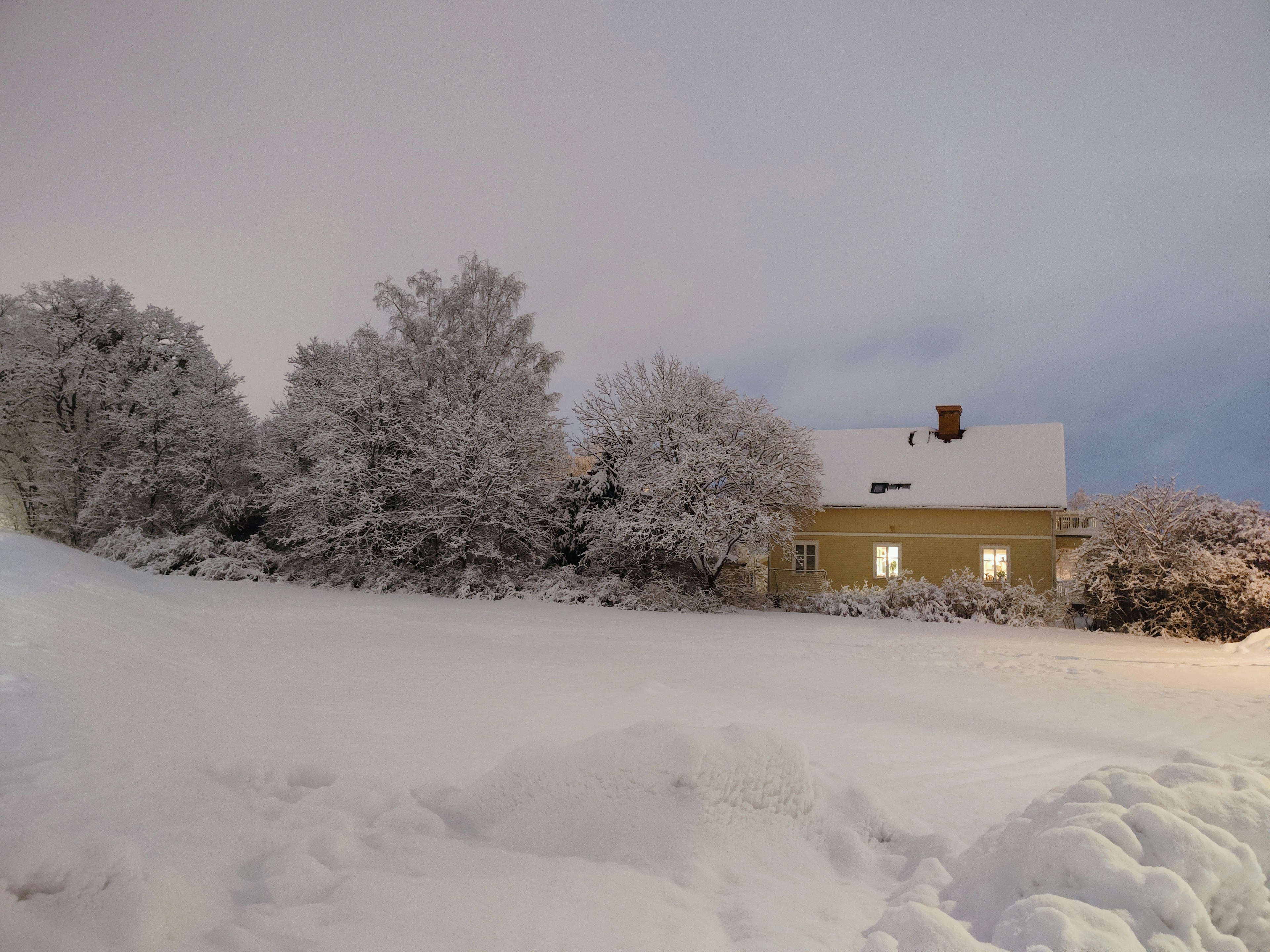 Casa e alberi coperti di neve in un paesaggio invernale