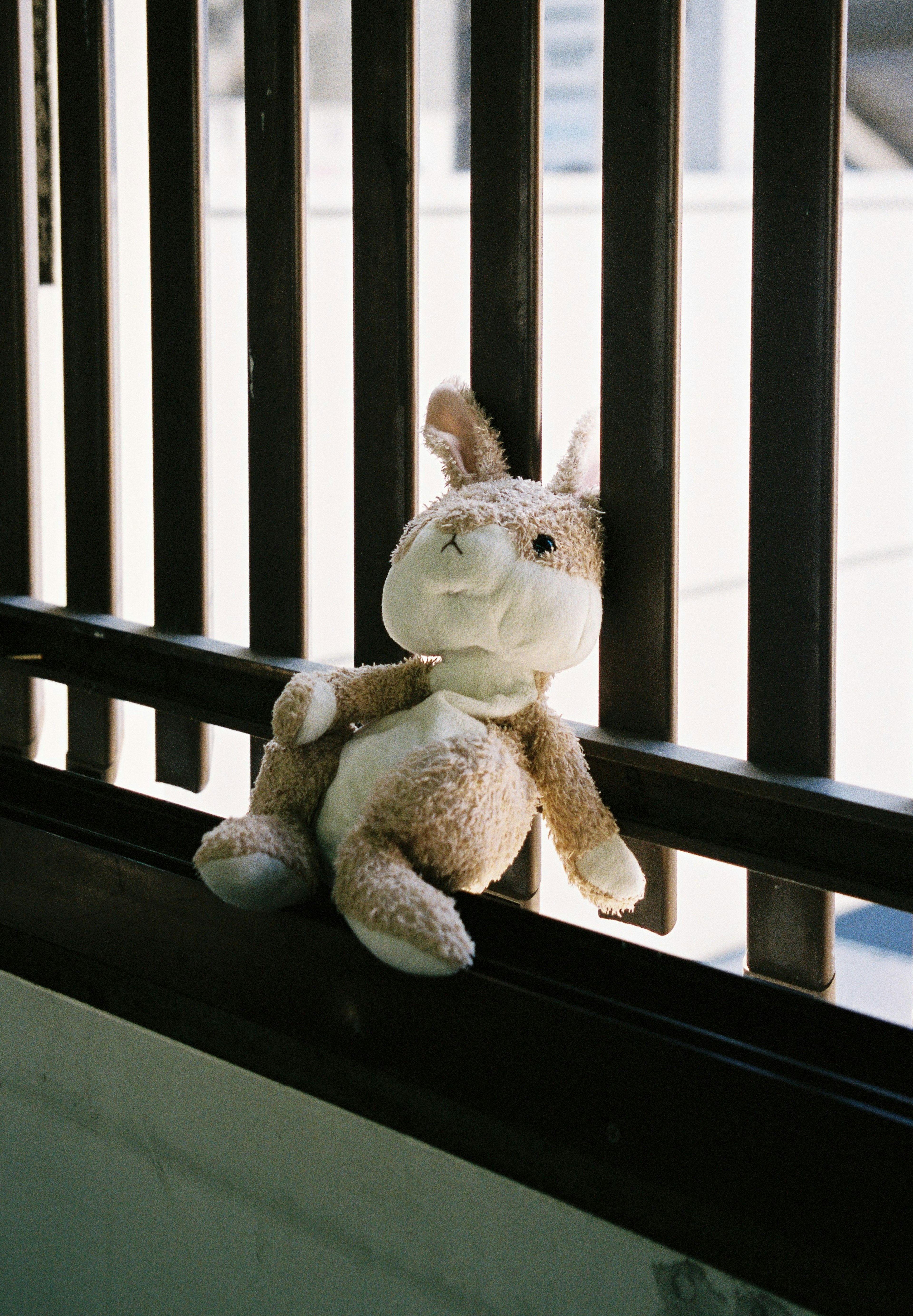 A stuffed rabbit toy sitting on a railing by a window