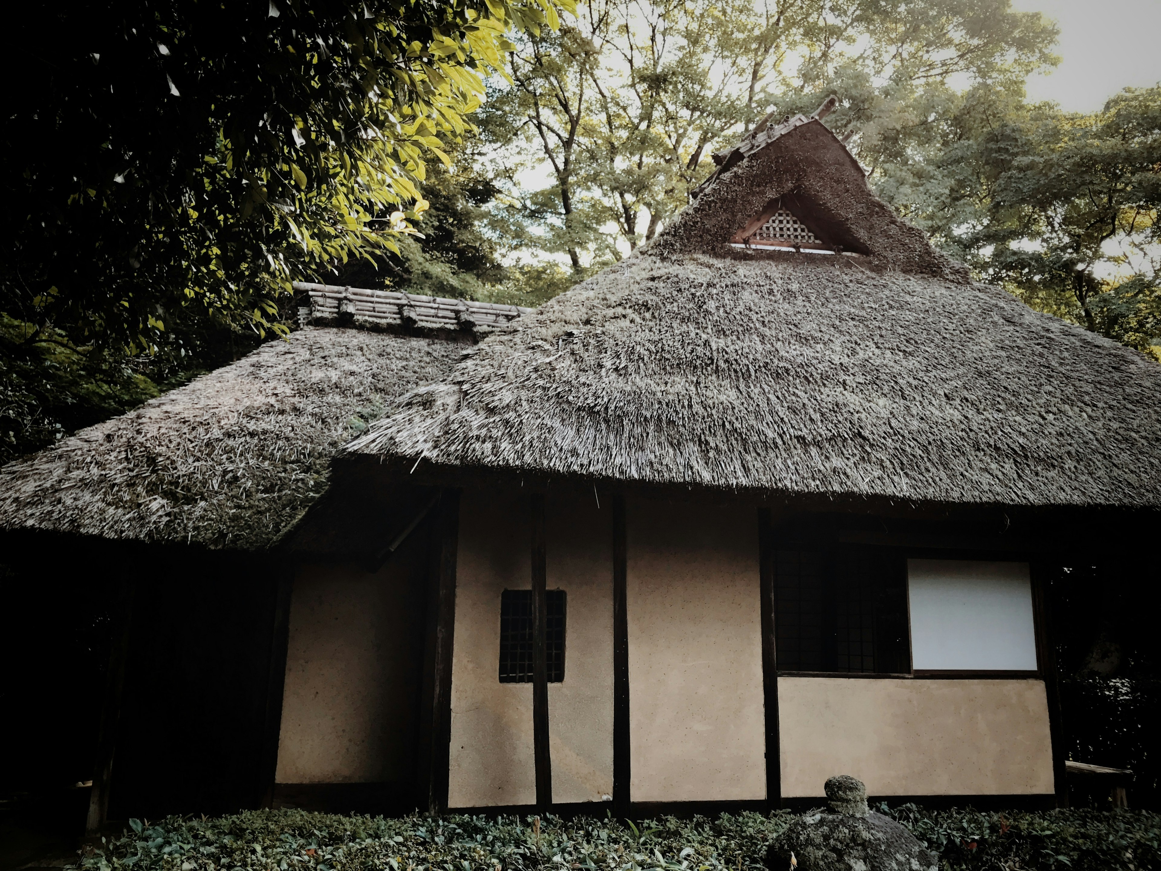 Maison japonaise traditionnelle avec toit en chaume structure en bois entourée de verdure luxuriante