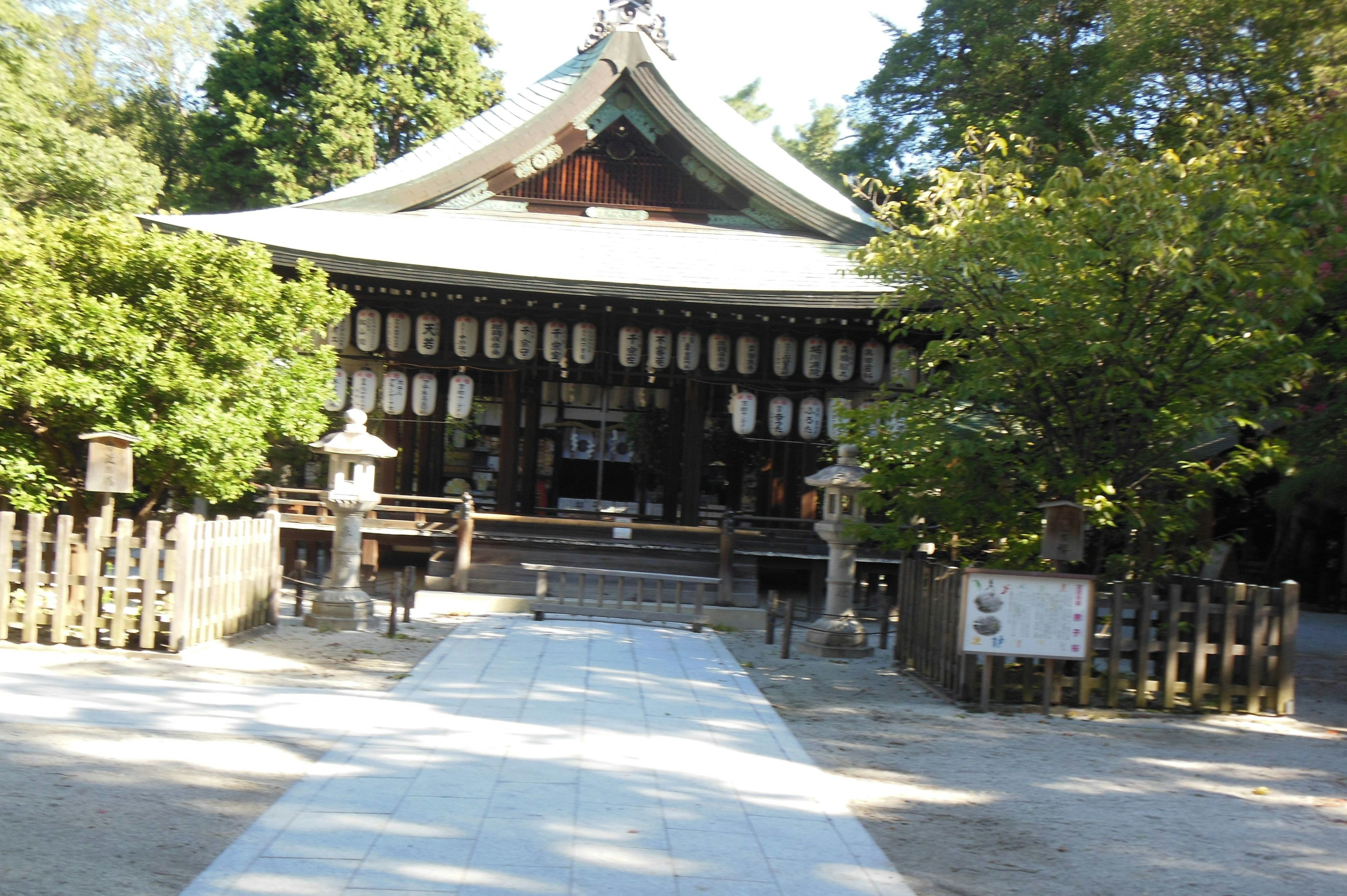 緑に囲まれた神社の建物と参道の風景