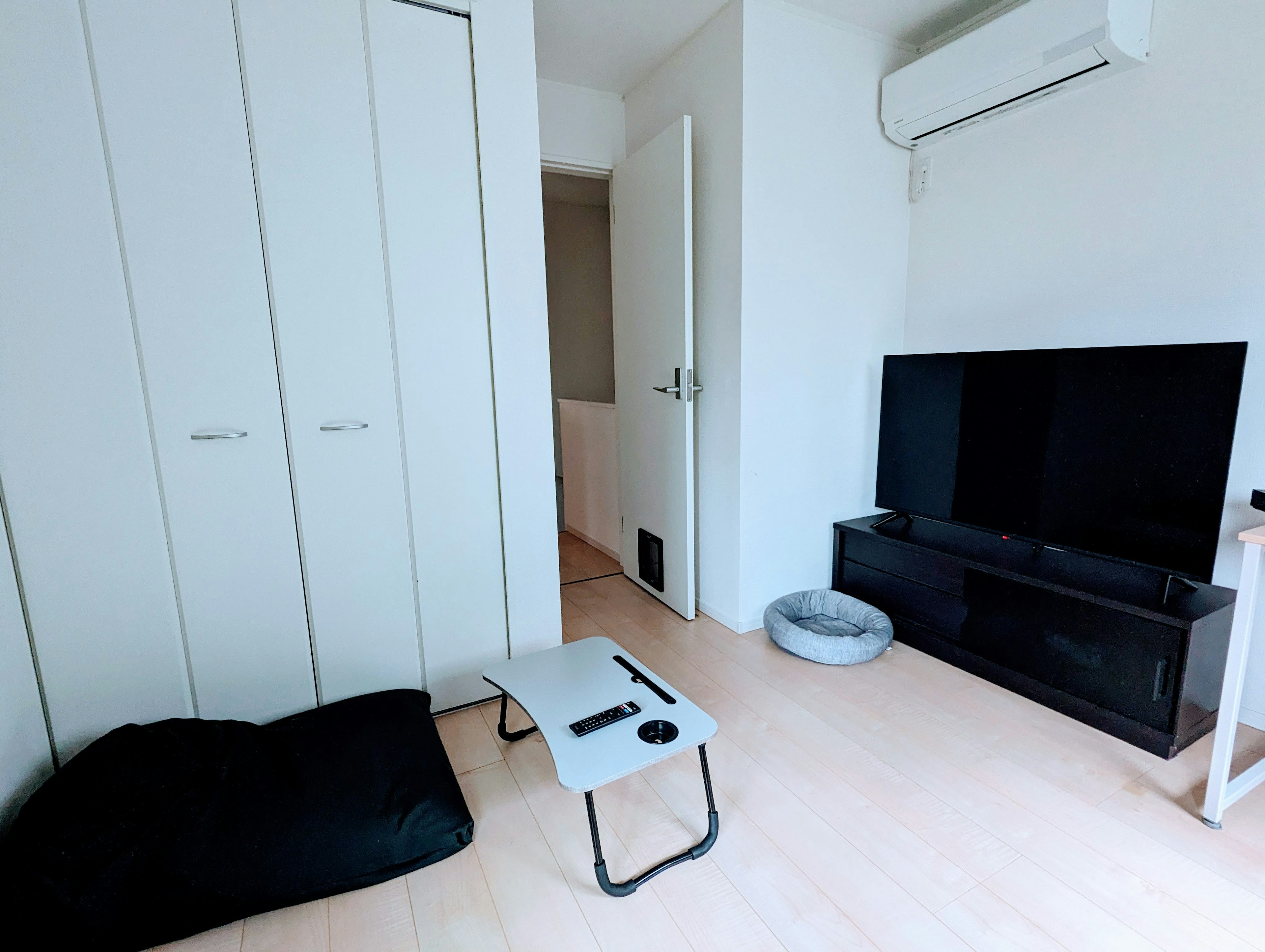 Simple living room interior featuring white closet and black TV stand