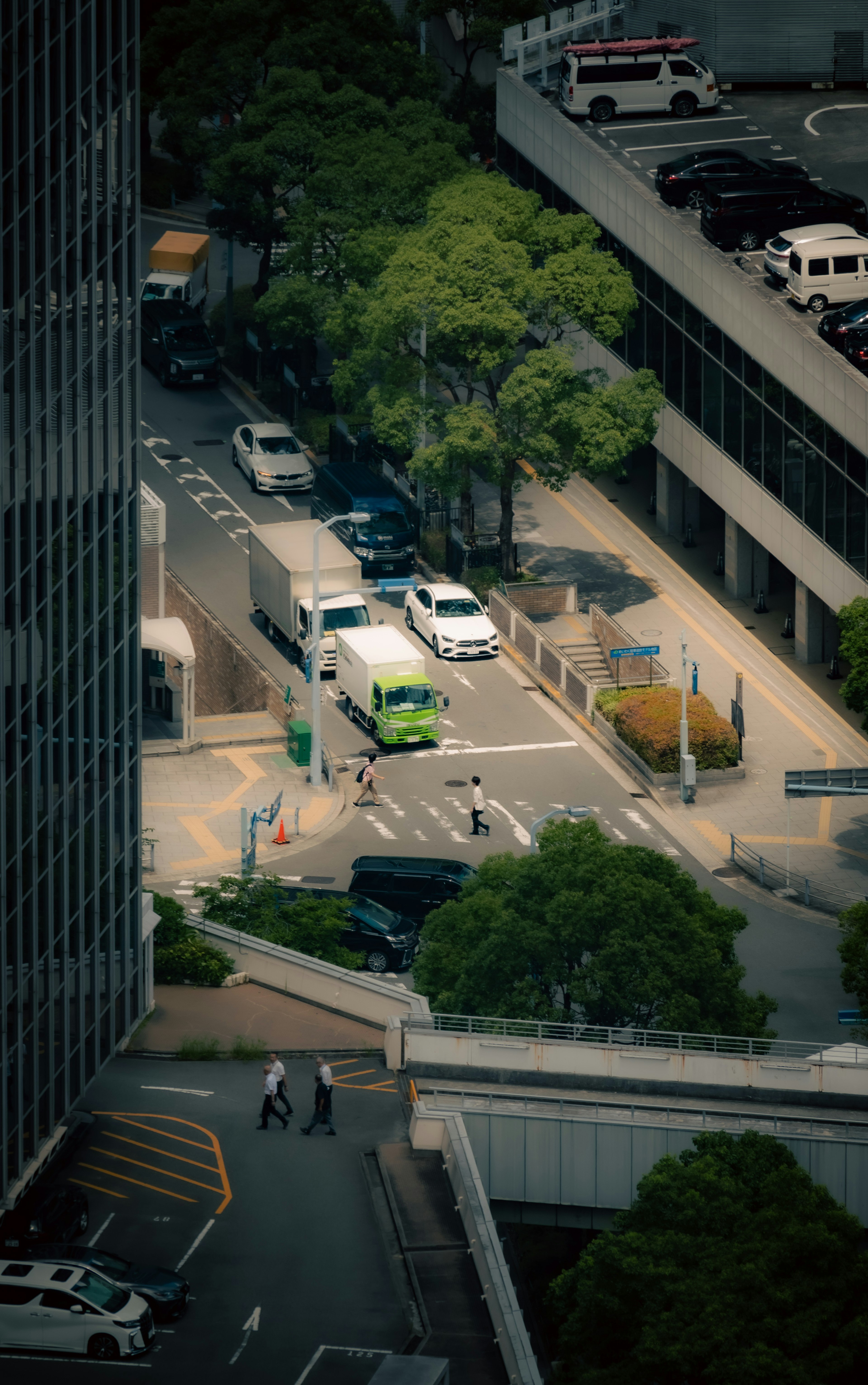 Urban street scene between skyscrapers with vehicles and greenery