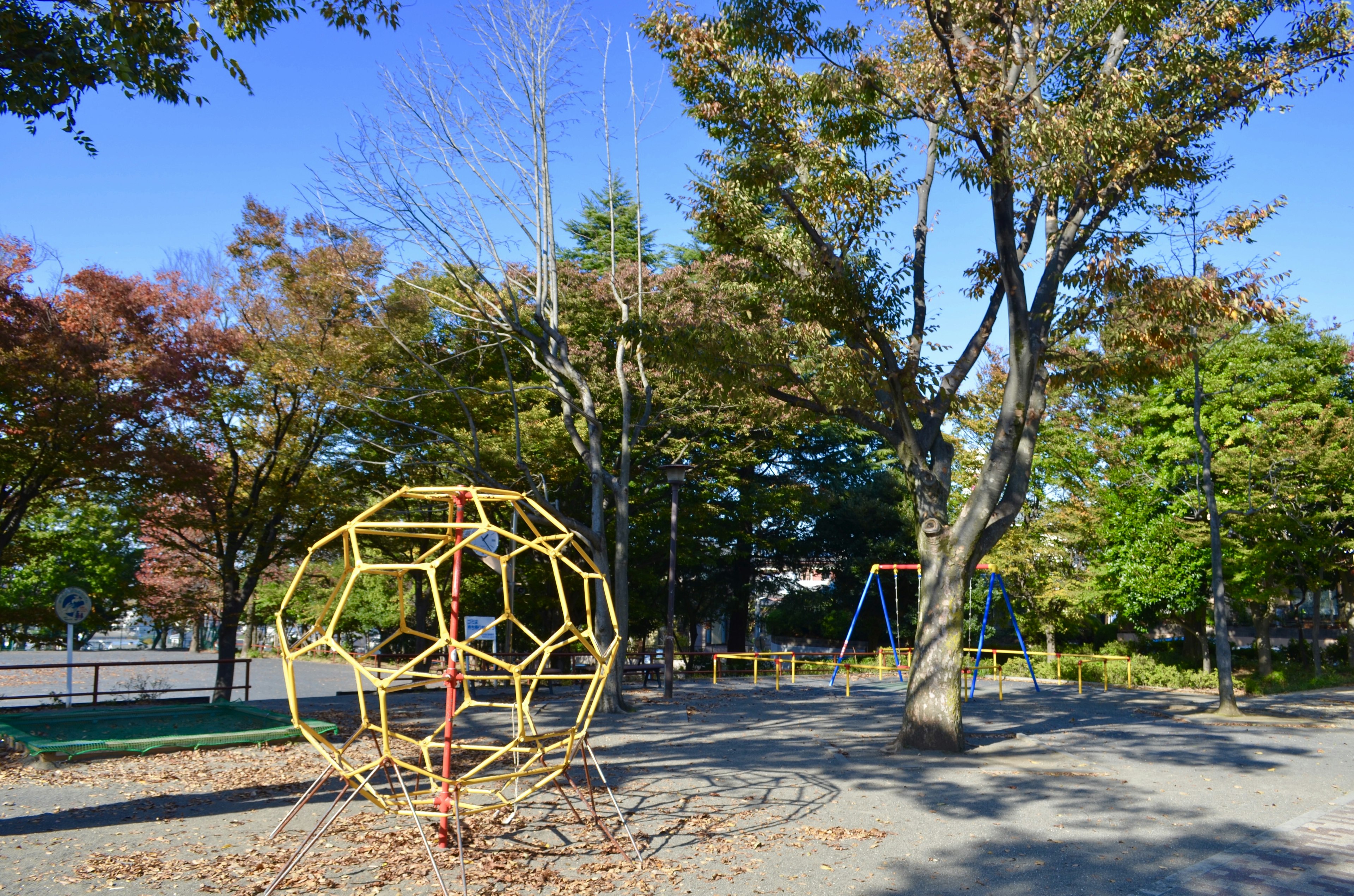 公園裡的遊樂設施和秋天的樹木