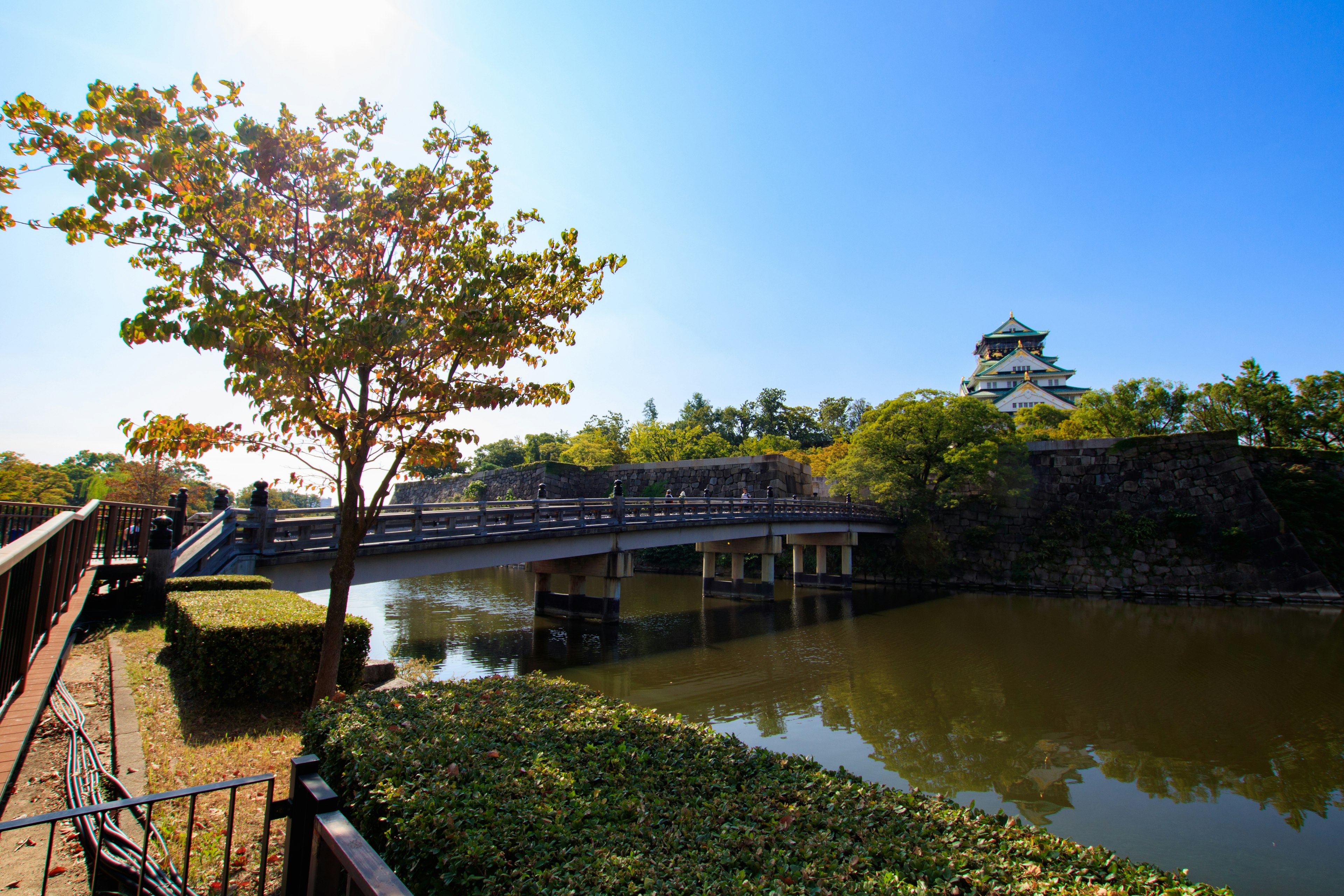 Malerscher Blick auf eine Brücke über einen Teich unter klarem blauen Himmel