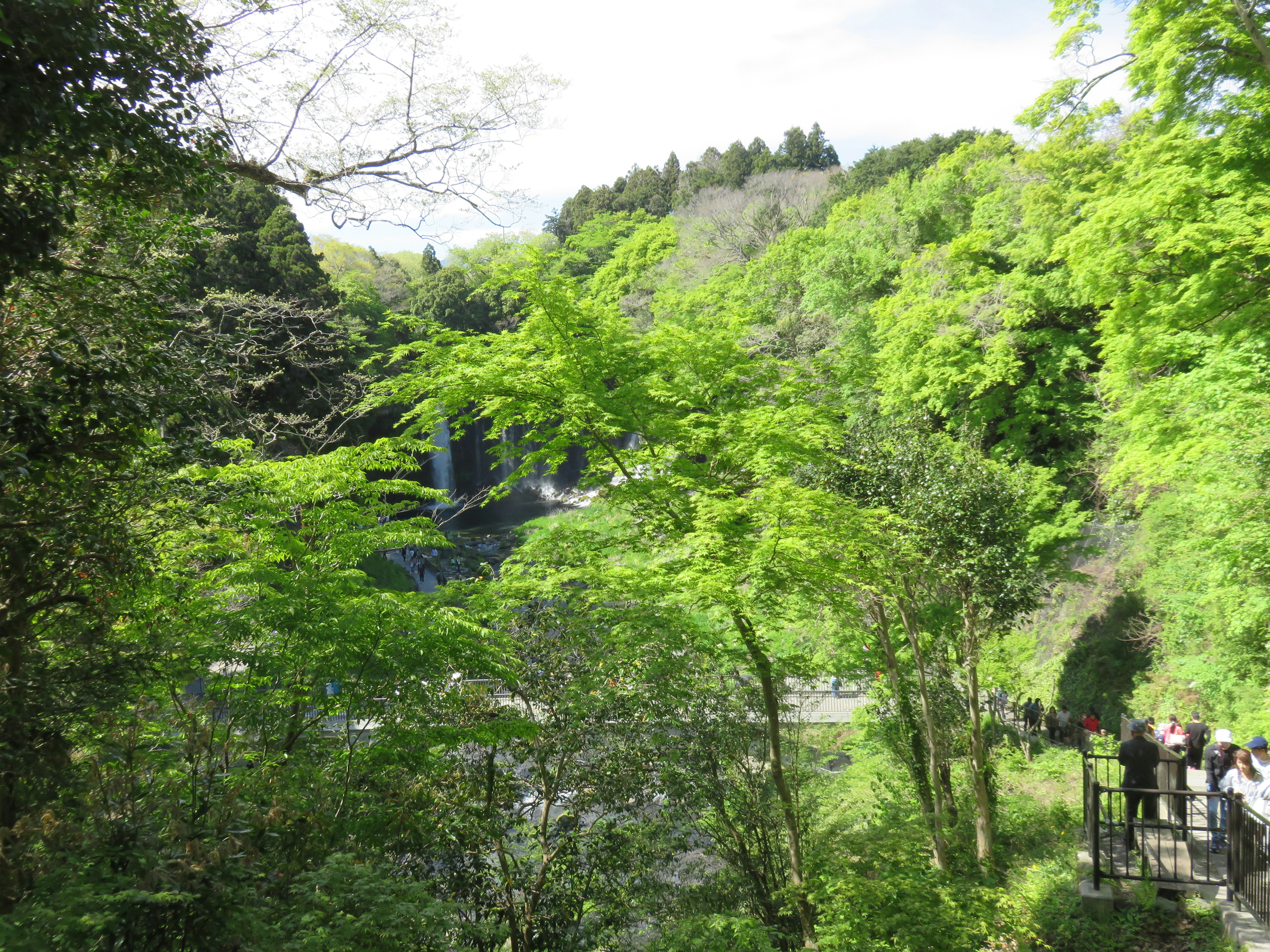 緑豊かな森と滝が見える風景で散策する人々