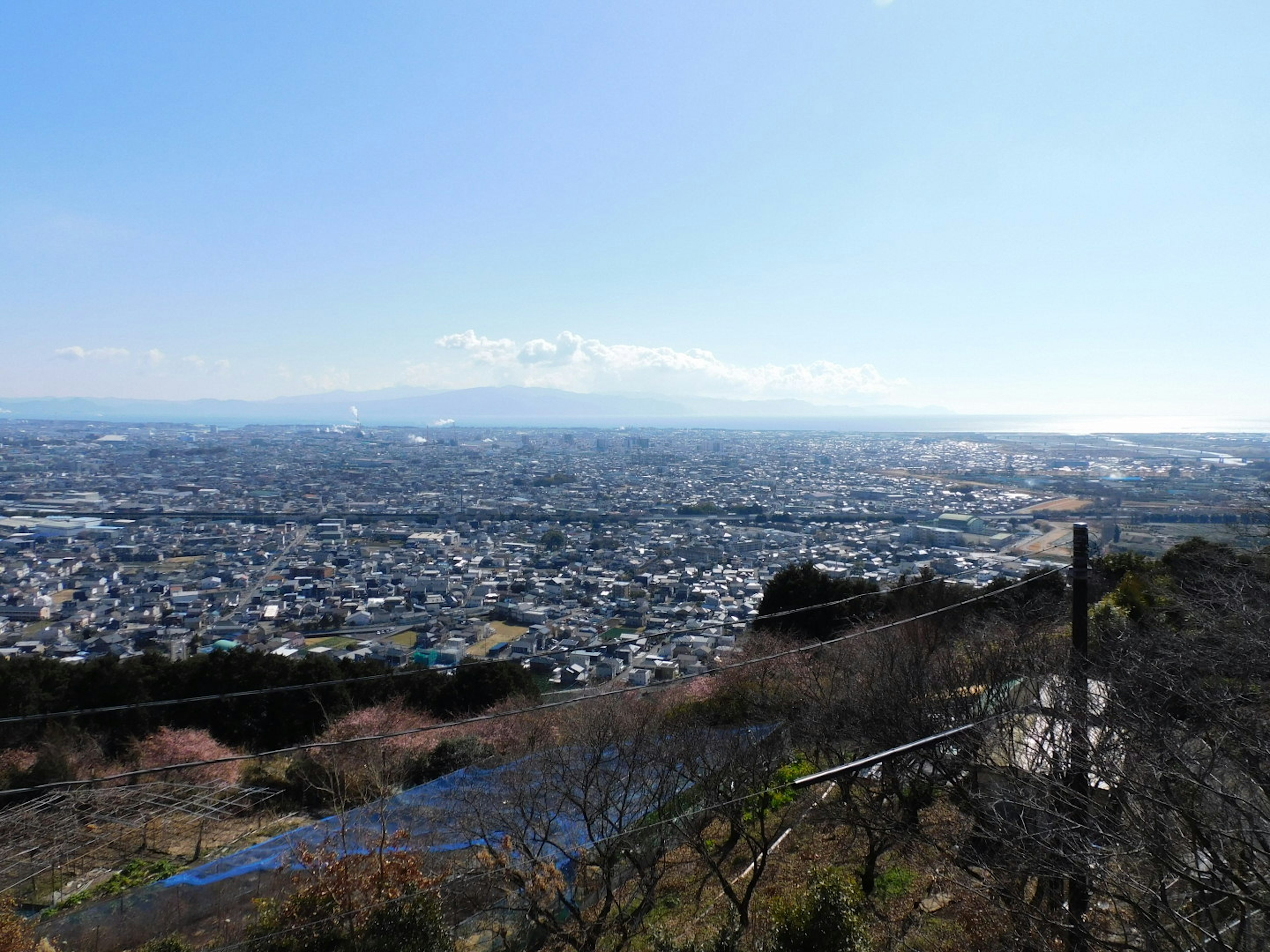 Expansive cityscape with clear blue sky