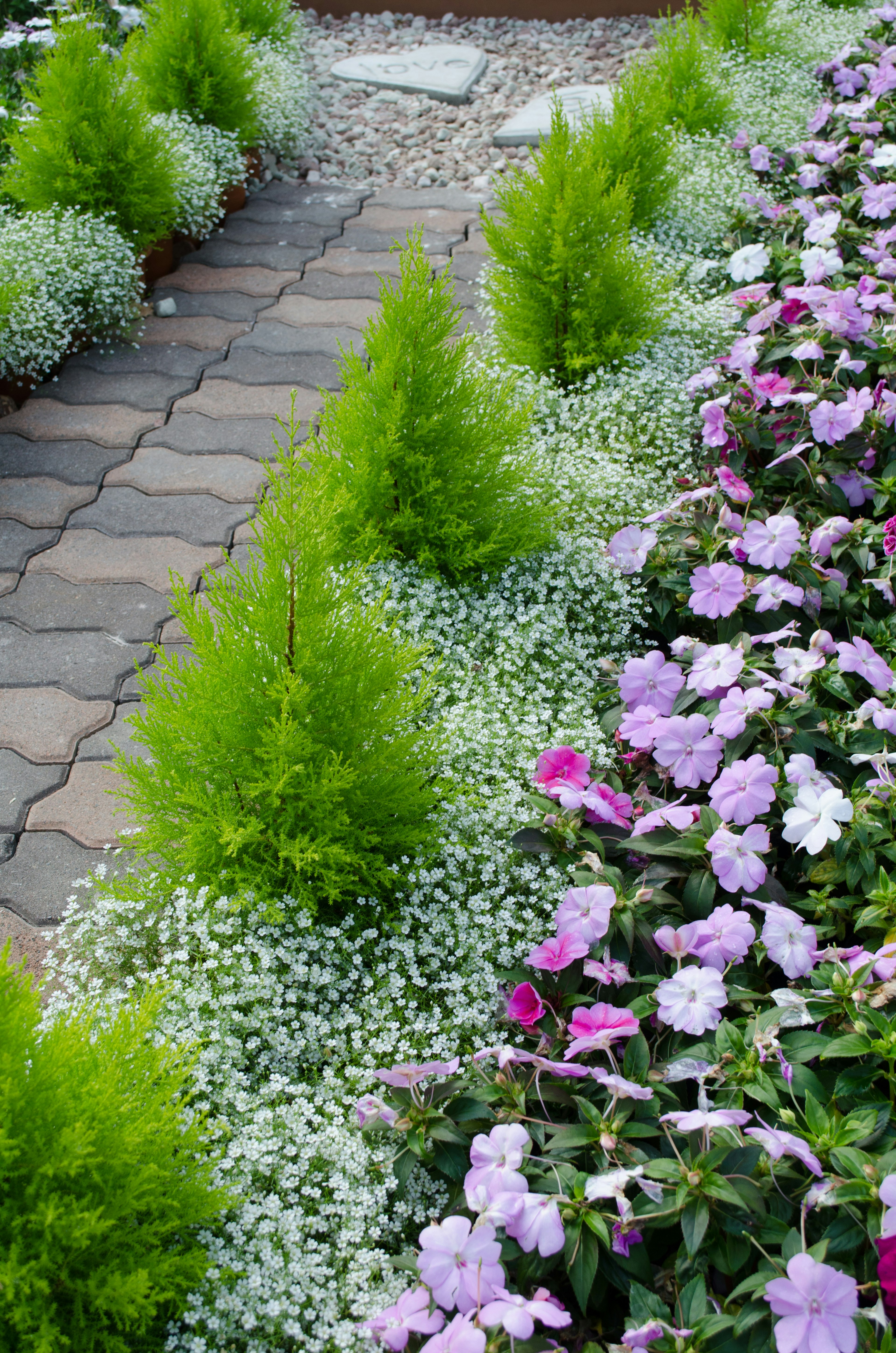 Pathway lined with green shrubs and purple flowers