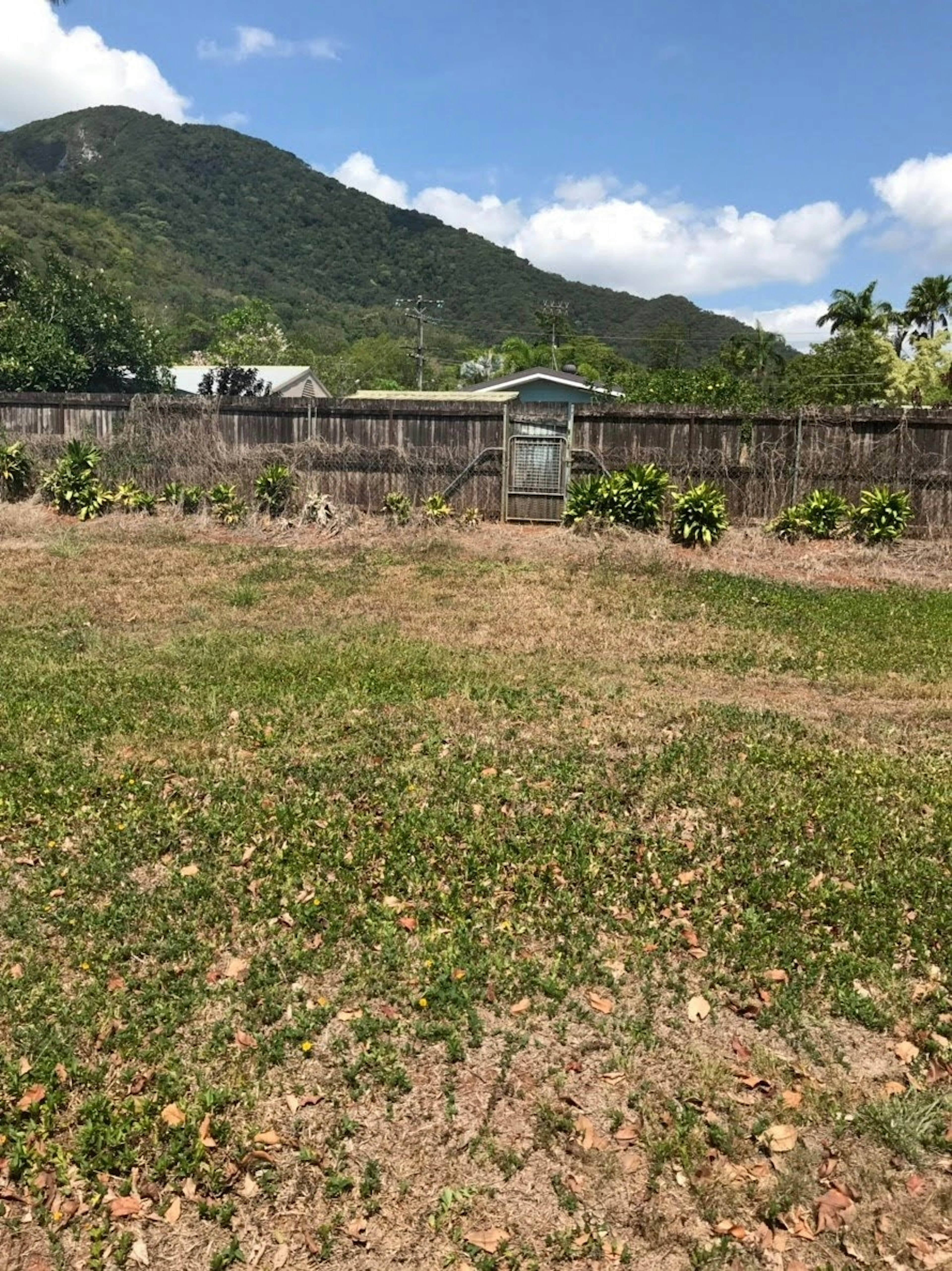 山と青空を背景にした広い草原と小屋の風景