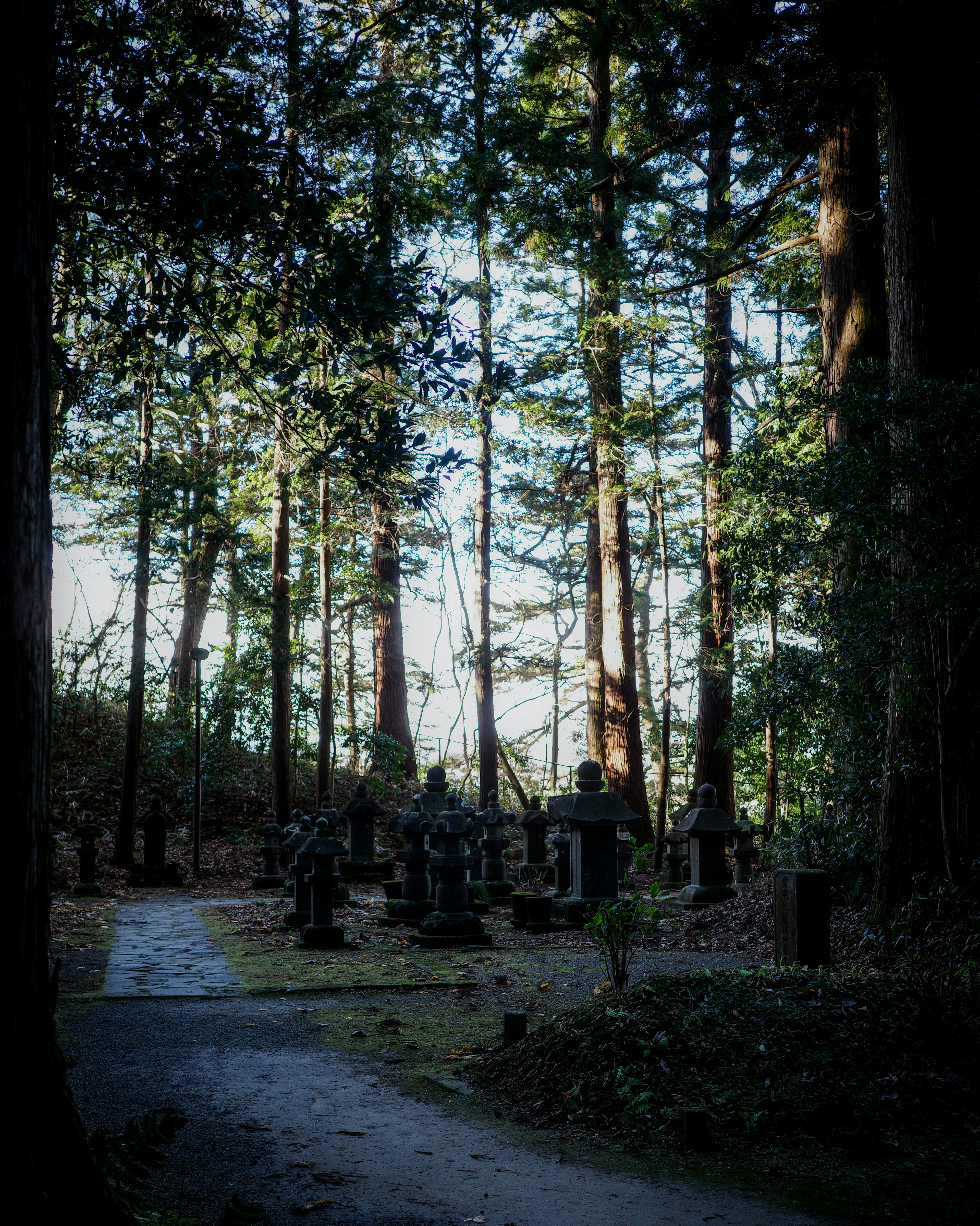 Ein ruhiger Weg gesäumt von Steinstatuen in einem Wald