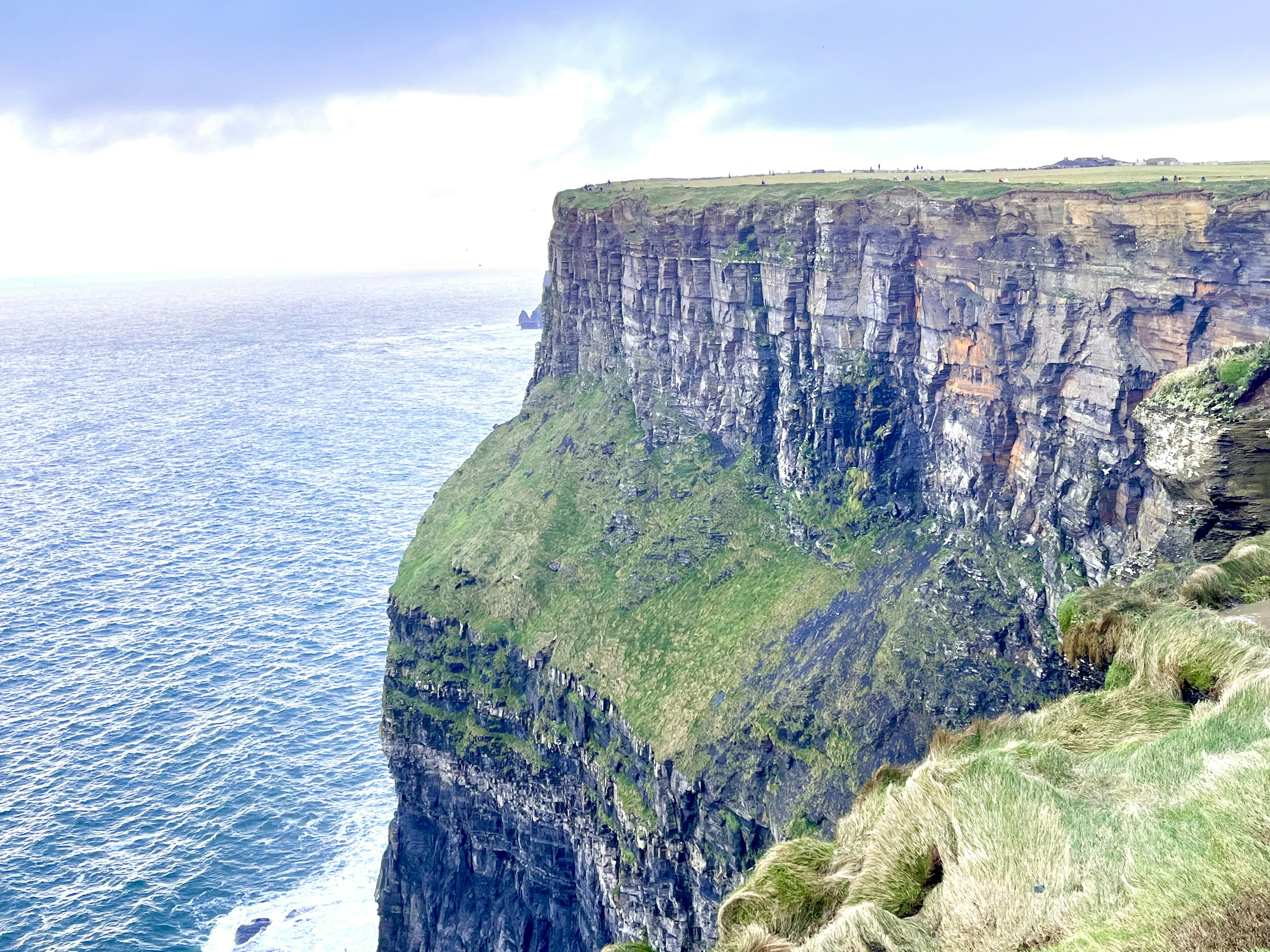 Falaises surplombant la mer bleue avec de l'herbe verte luxuriante