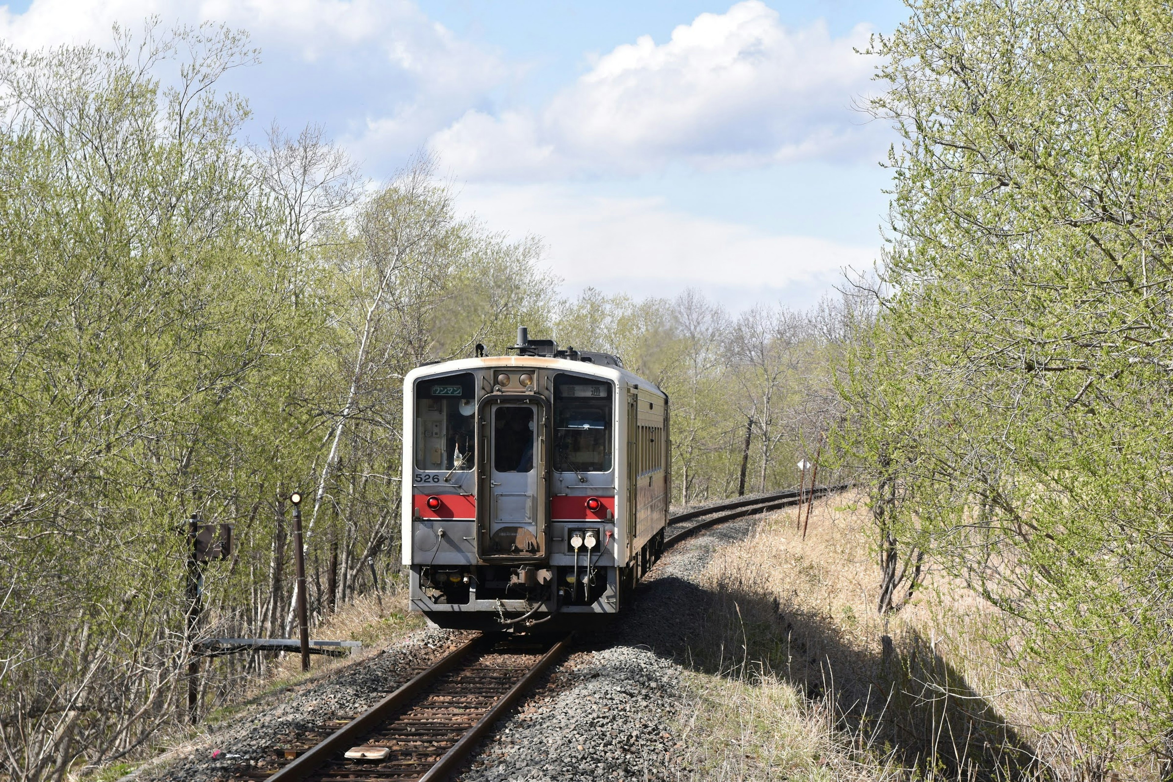 Train at a curved railway track surrounded by green trees